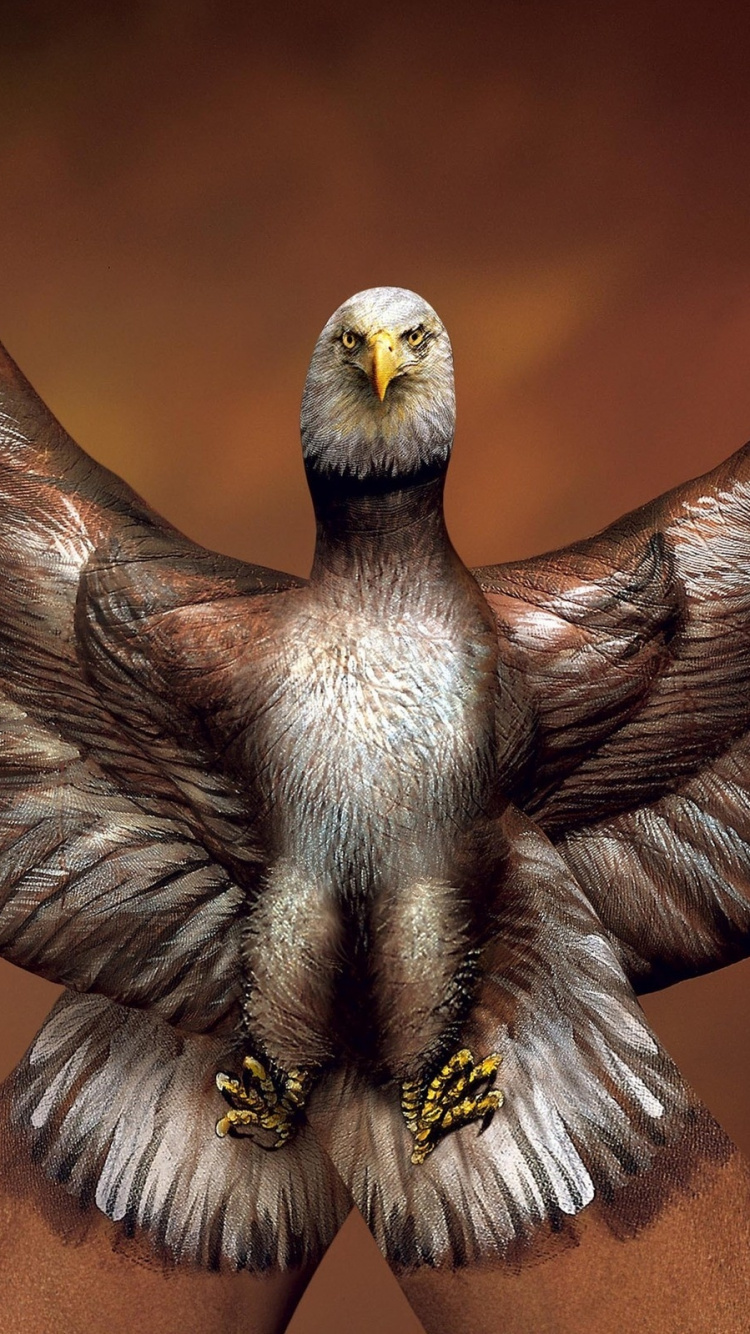 Oiseau Marron et Blanc Sur Une Surface en Bois Marron. Wallpaper in 750x1334 Resolution