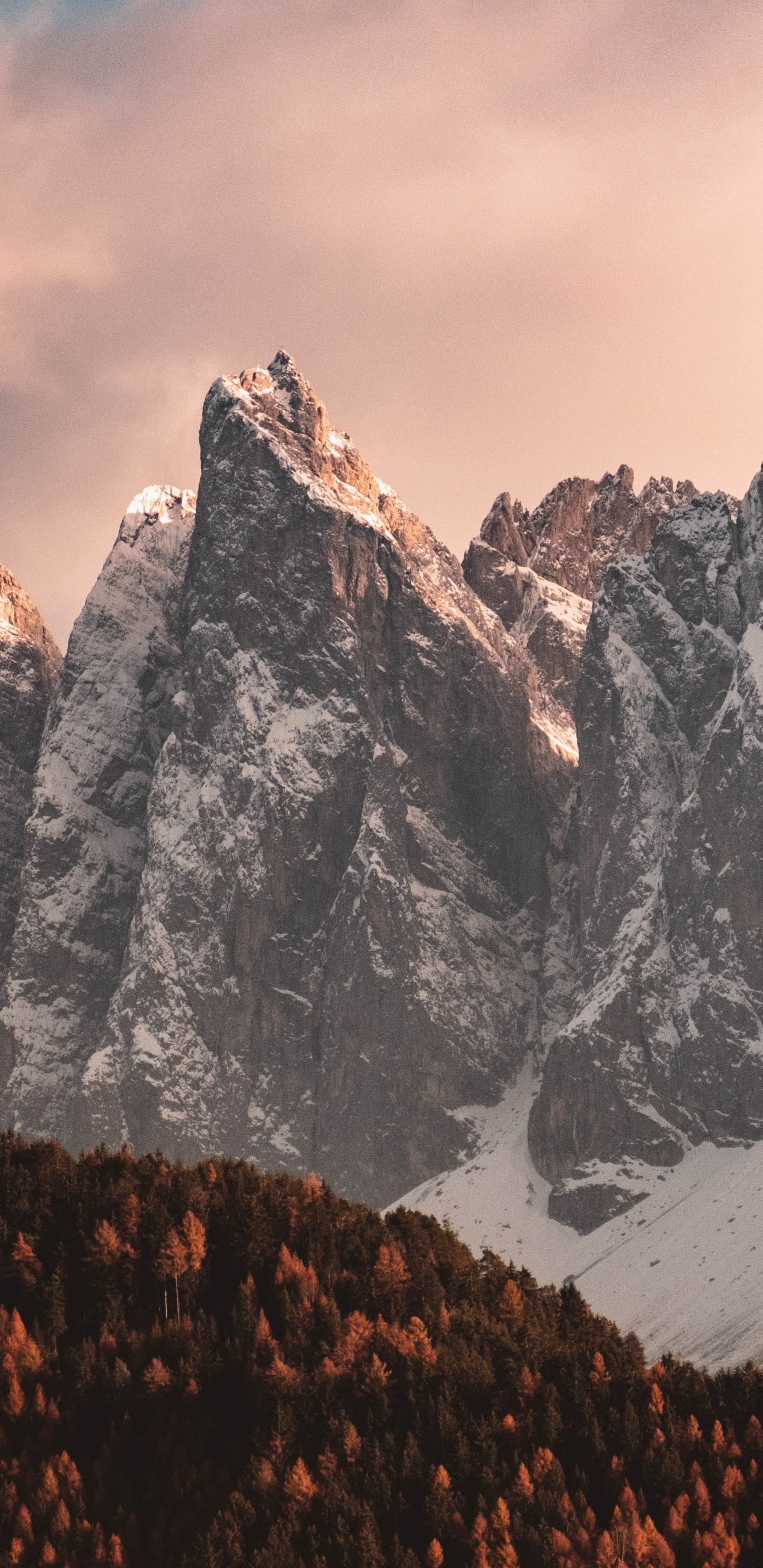 山脉, 多山的地貌, 山, 阿尔卑斯山, 荒野 壁纸 1440x2960 允许