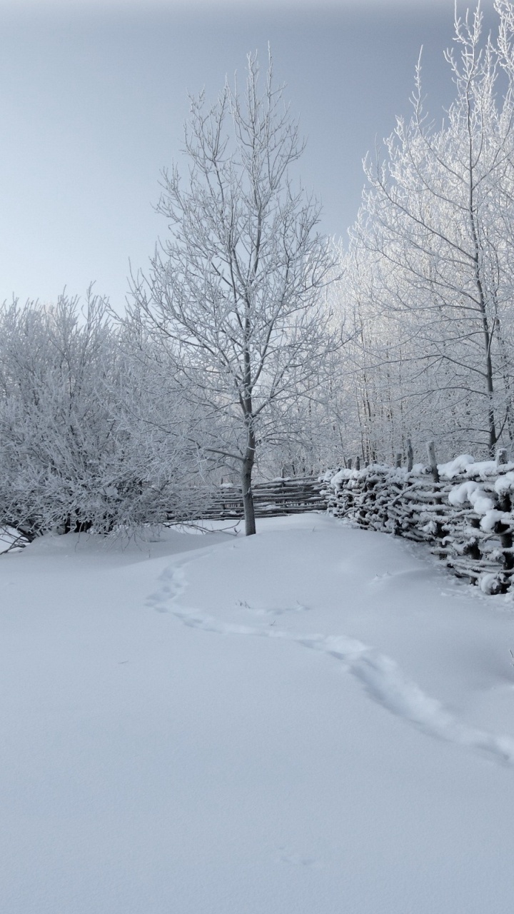 Clôture en Bois Brun Sur Sol Couvert de Neige. Wallpaper in 720x1280 Resolution