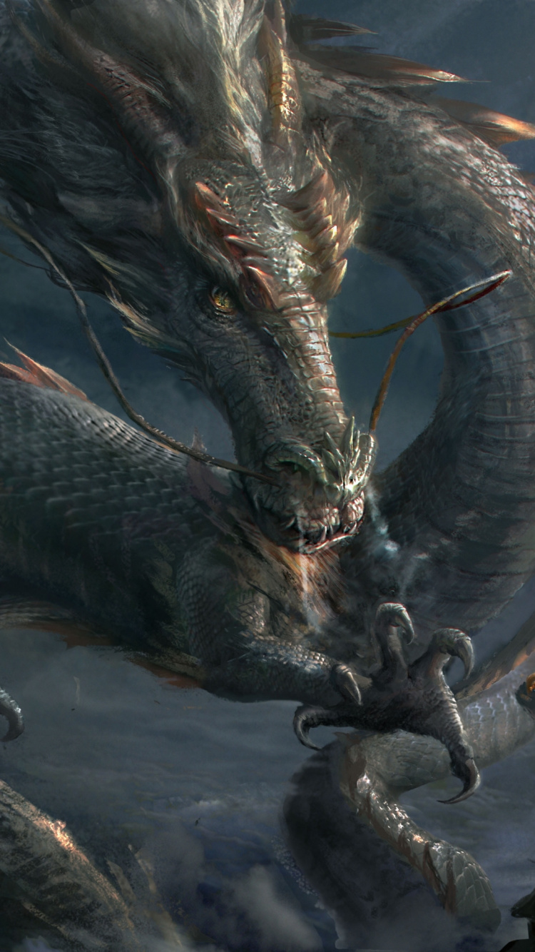 Dragón, Dragón Chino, Arte, El Arte de la Cubierta, Dragón Vietnamita. Wallpaper in 750x1334 Resolution