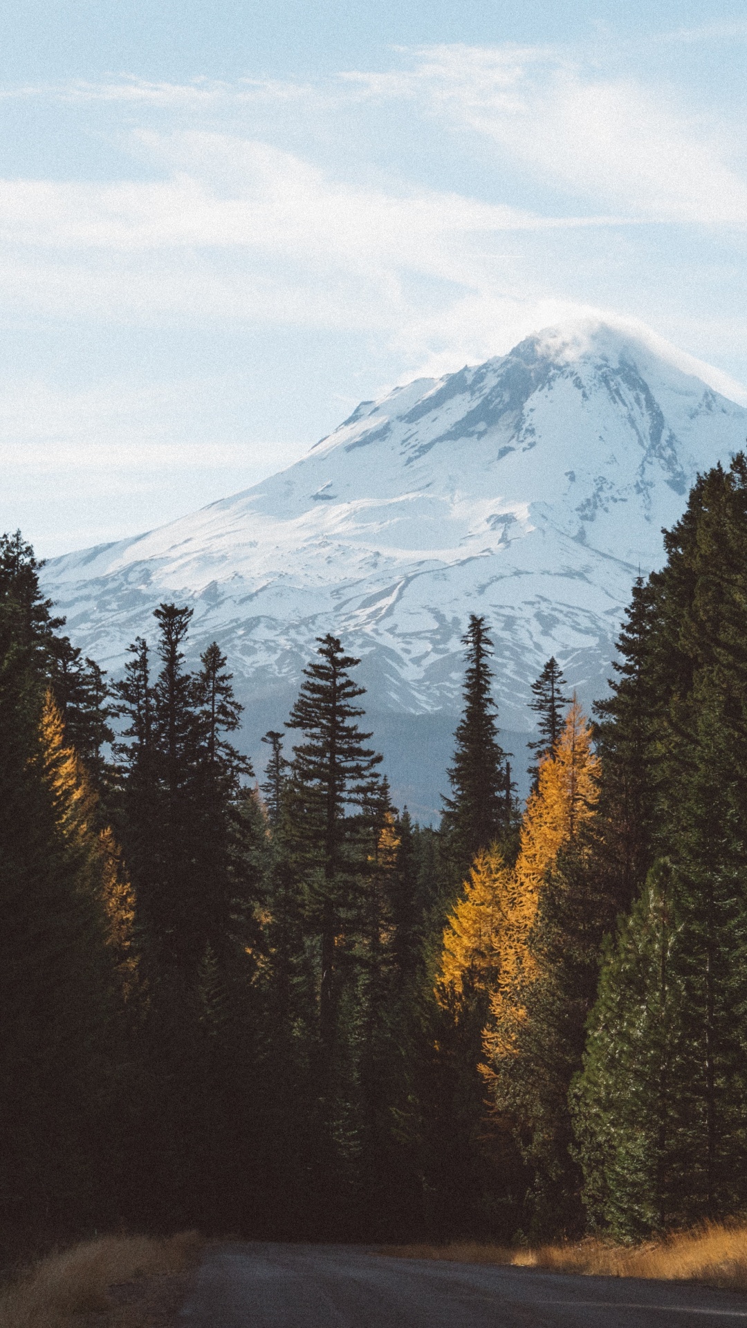 Green Pine Trees Near Snow Covered Mountain During Daytime. Wallpaper in 1080x1920 Resolution