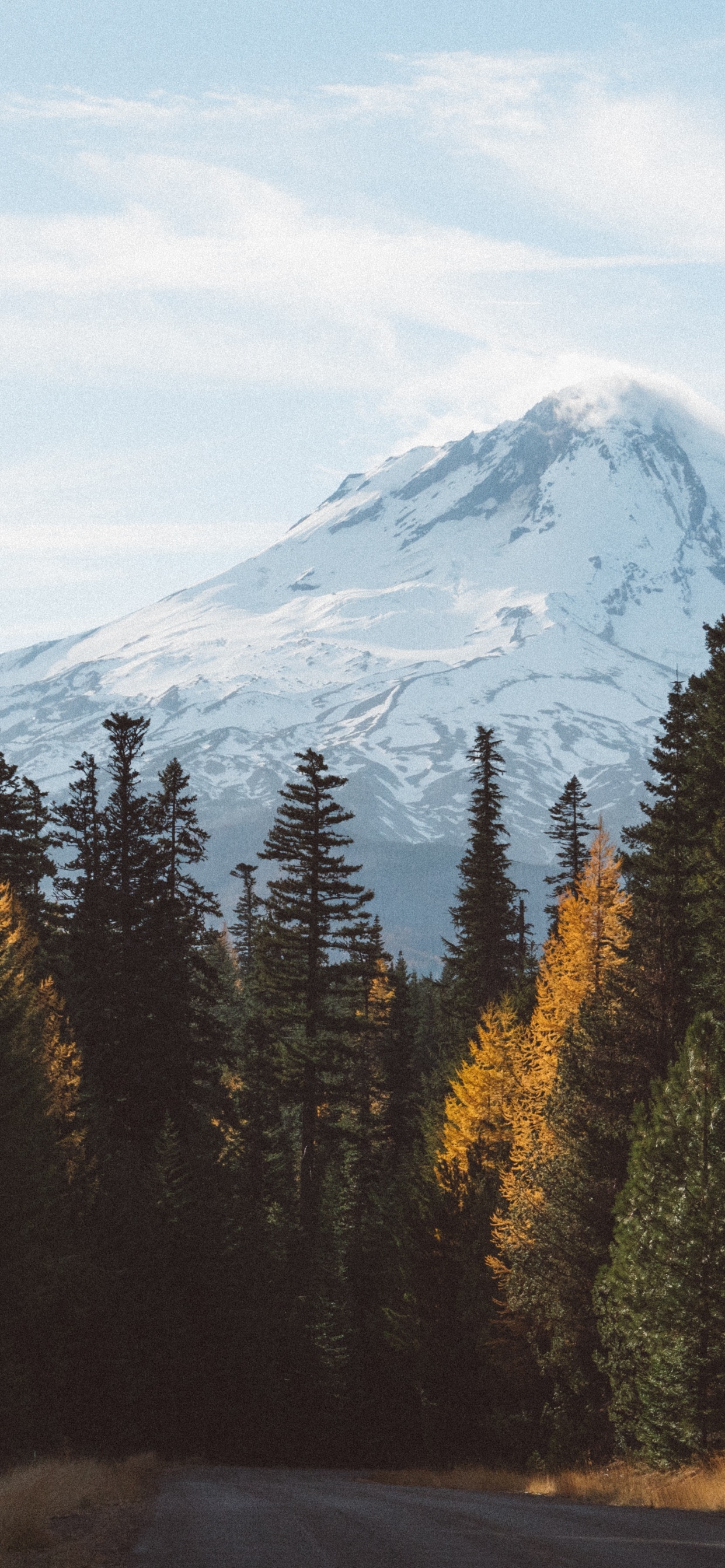Green Pine Trees Near Snow Covered Mountain During Daytime. Wallpaper in 1242x2688 Resolution