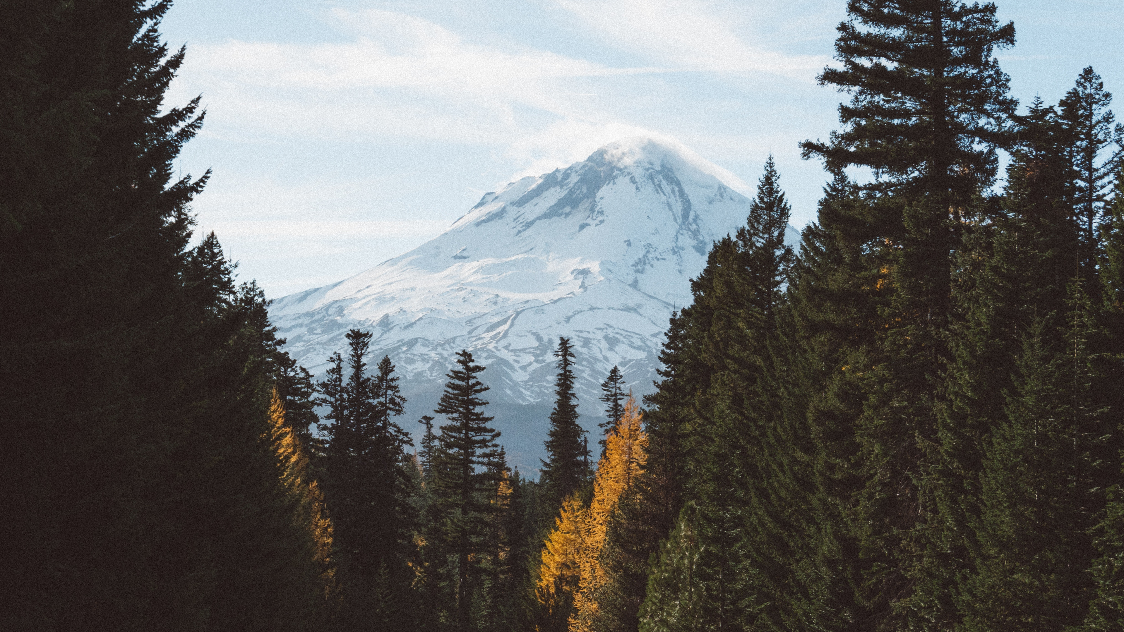 Green Pine Trees Near Snow Covered Mountain During Daytime. Wallpaper in 3840x2160 Resolution