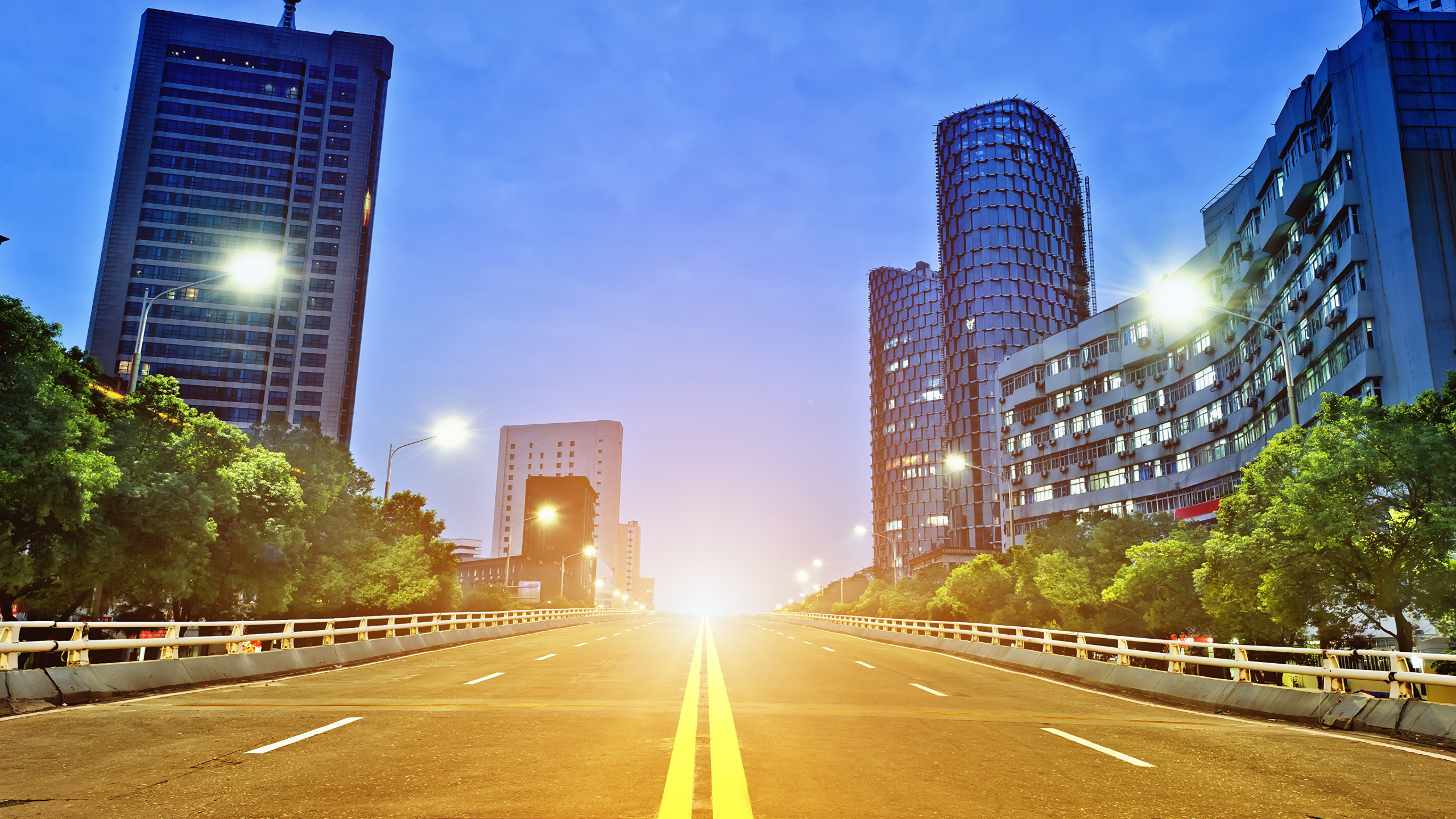Gray Concrete Road Between Green Trees and High Rise Buildings During Daytime. Wallpaper in 2560x1440 Resolution