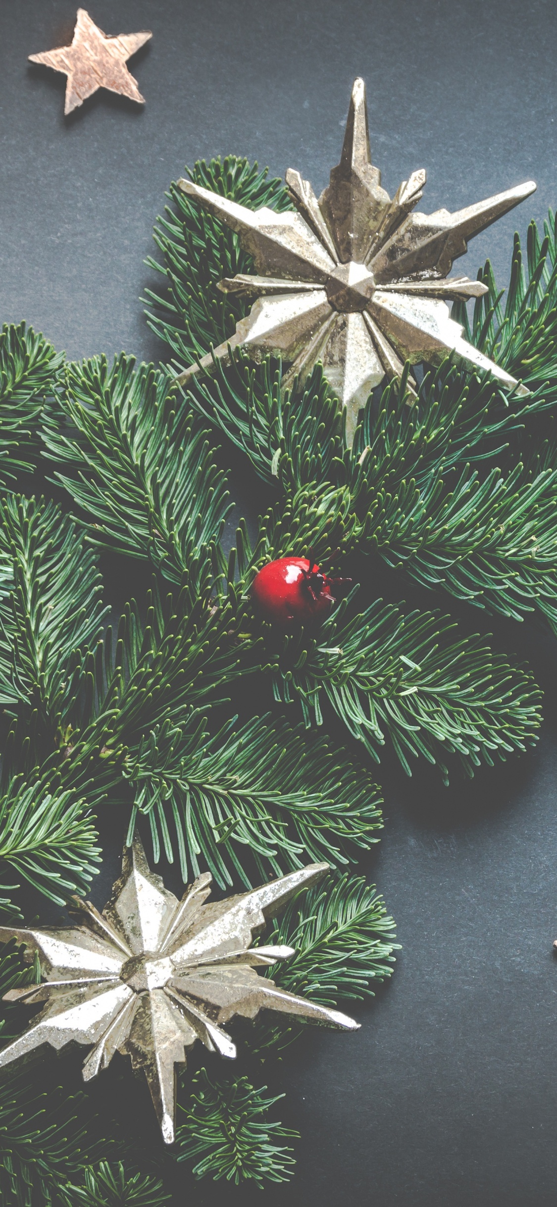Christmas Day, Christmas Ornament, Oregon Pine, Christmas, Holiday Ornament. Wallpaper in 1125x2436 Resolution