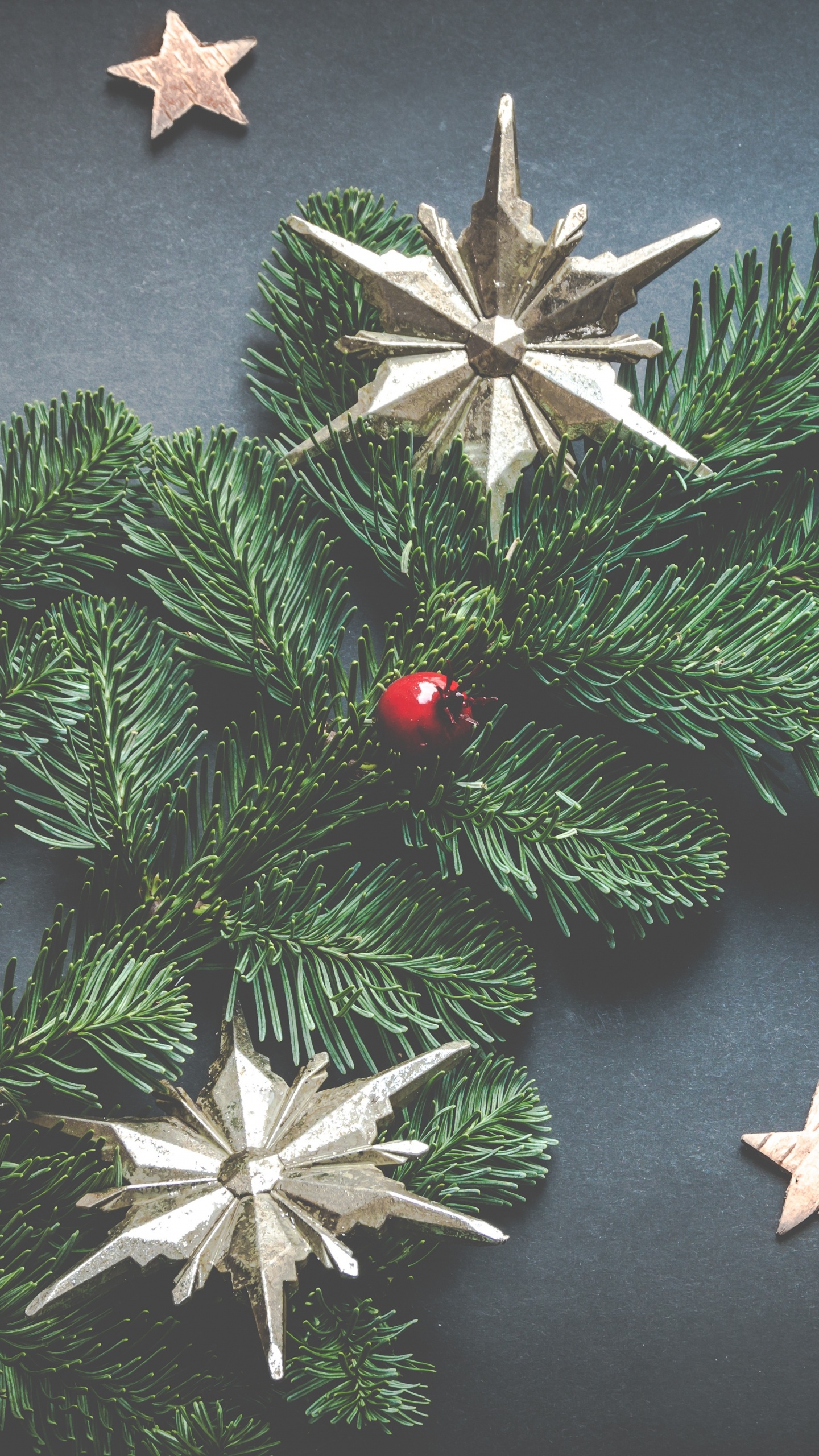圣诞节那天, 圣诞节的装饰品, 俄勒冈州松树, 圣诞节, 节日装饰品 壁纸 1440x2560 允许