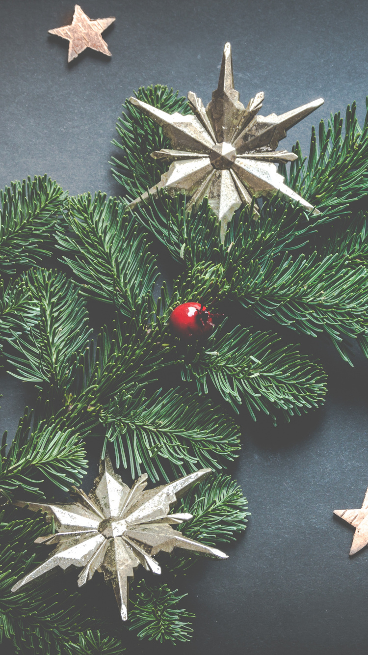 圣诞节那天, 圣诞节的装饰品, 俄勒冈州松树, 圣诞节, 节日装饰品 壁纸 750x1334 允许