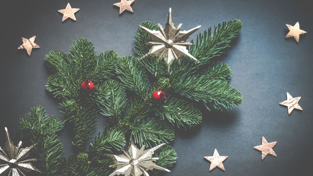 Weihnachten, Christmas Ornament, Oregon Pine, Holiday Ornament, Baum. Wallpaper in 1280x720 Resolution