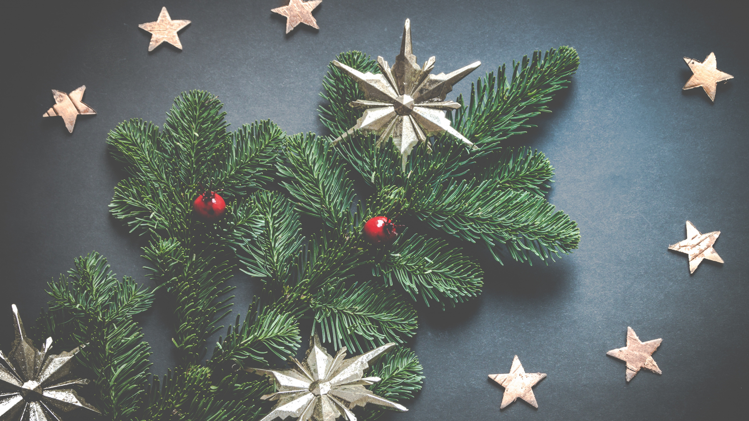 Weihnachten, Christmas Ornament, Oregon Pine, Holiday Ornament, Baum. Wallpaper in 2560x1440 Resolution