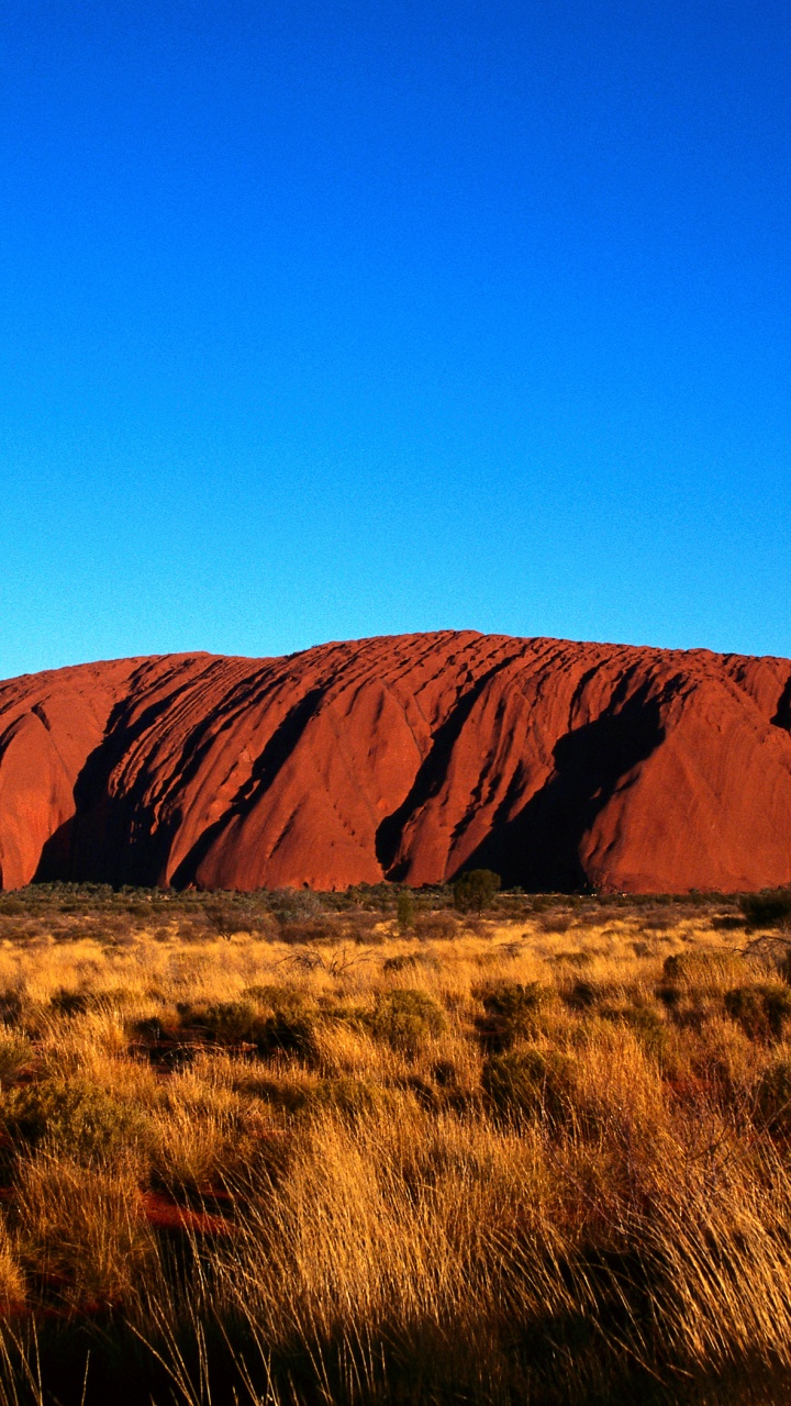 Brown Mountain Under Blue Sky During Daytime. Wallpaper in 720x1280 Resolution