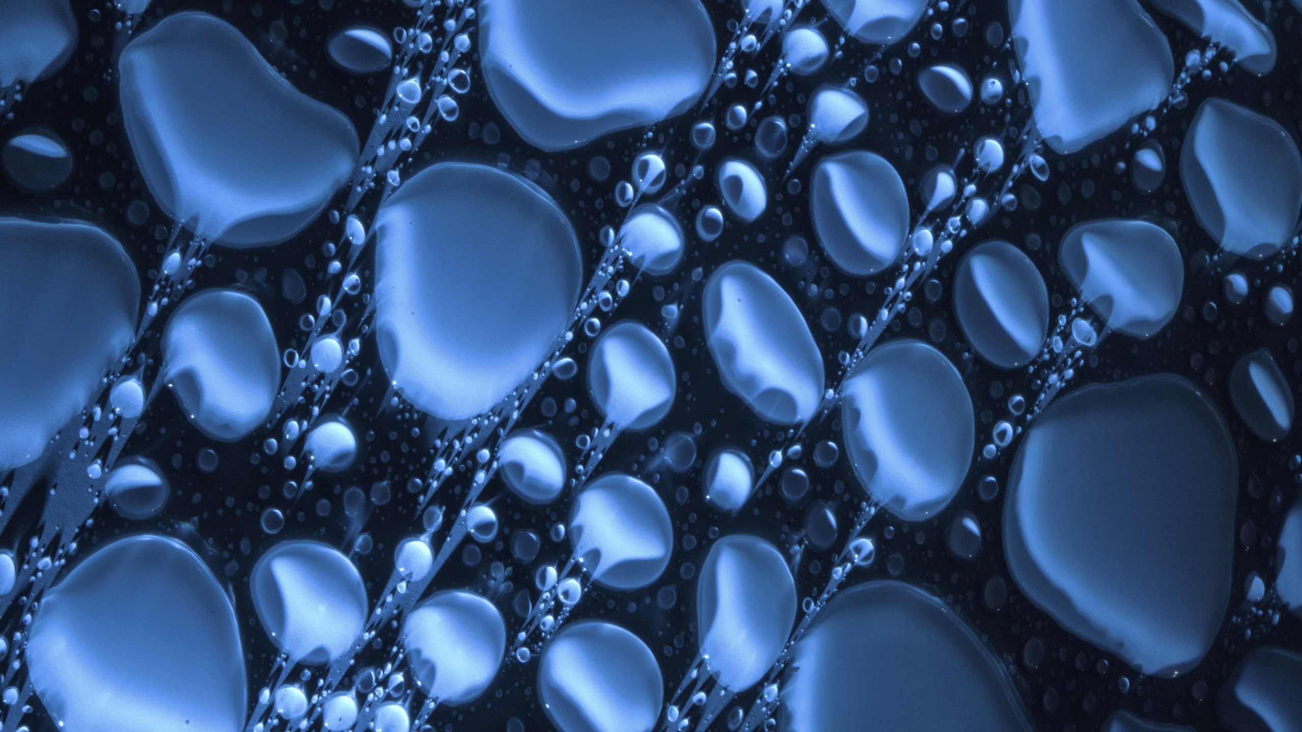 Albot Musik, Wasser, Azure, Natur, Flüssigkeit. Wallpaper in 2560x1440 Resolution