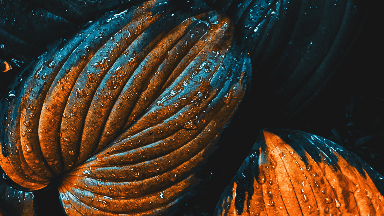 Apples, Ios, Tints and Shades, Electric Blue, Gas. Wallpaper in 1280x720 Resolution