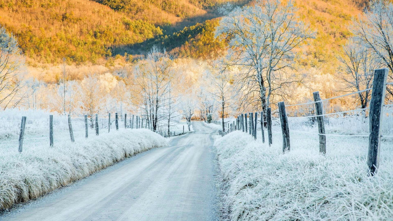 Schneebedeckte Straße Zwischen Bäumen Und Bergen Tagsüber. Wallpaper in 1280x720 Resolution