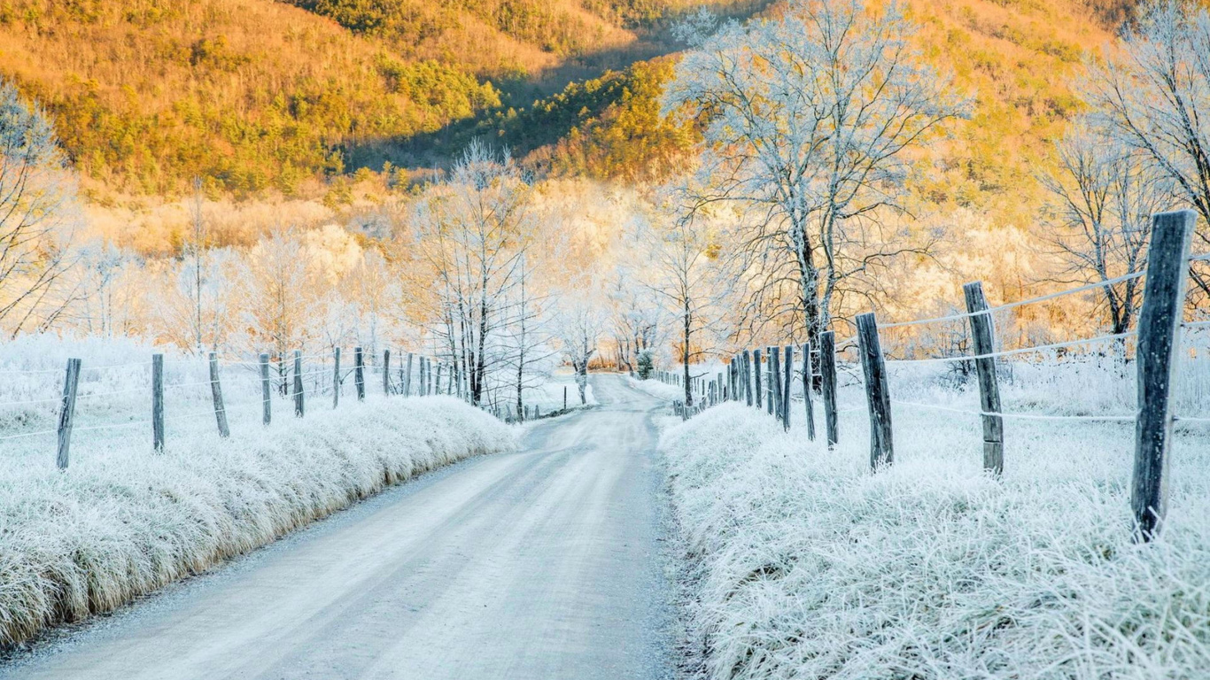 Schneebedeckte Straße Zwischen Bäumen Und Bergen Tagsüber. Wallpaper in 1366x768 Resolution