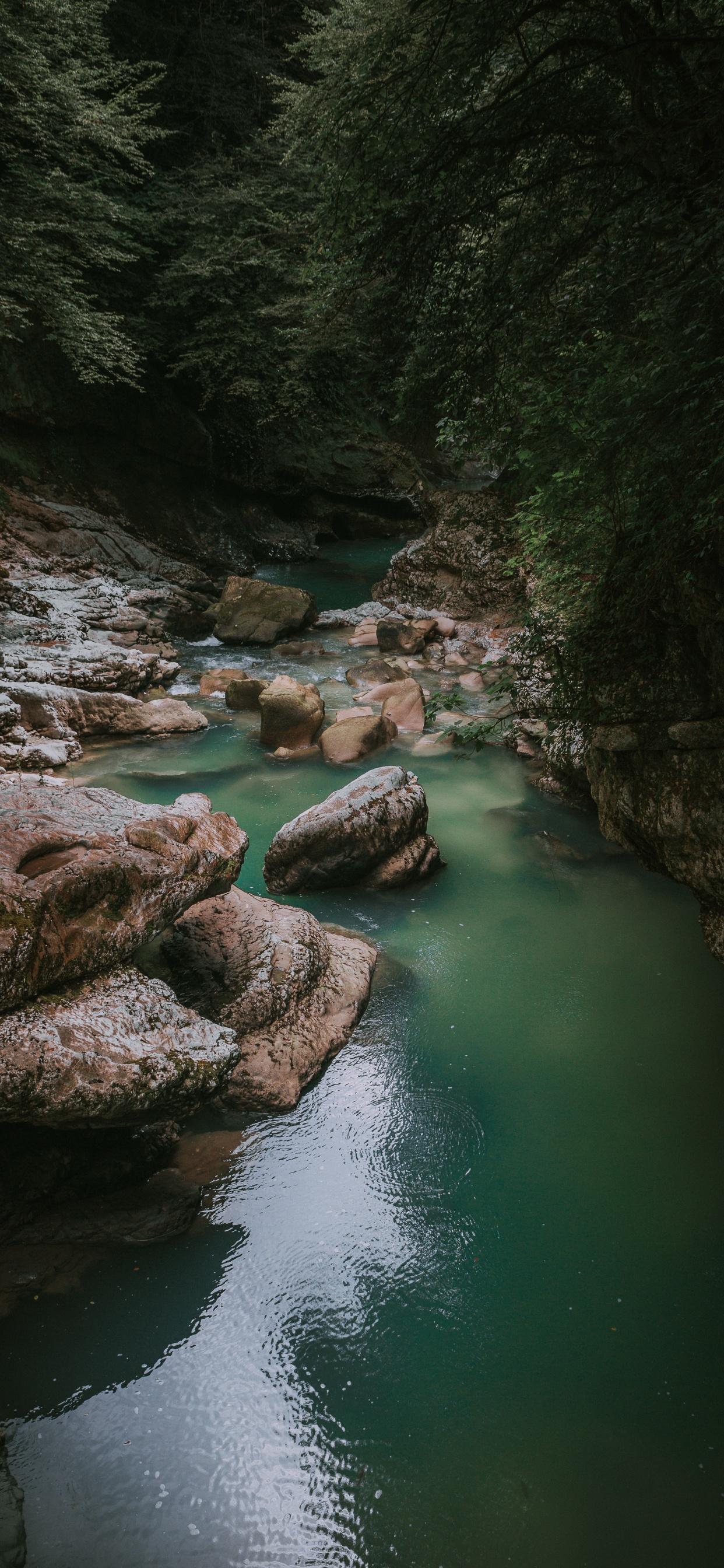 Fluss, Gewässer, Natur, Wasserressourcen, Stream. Wallpaper in 1242x2688 Resolution