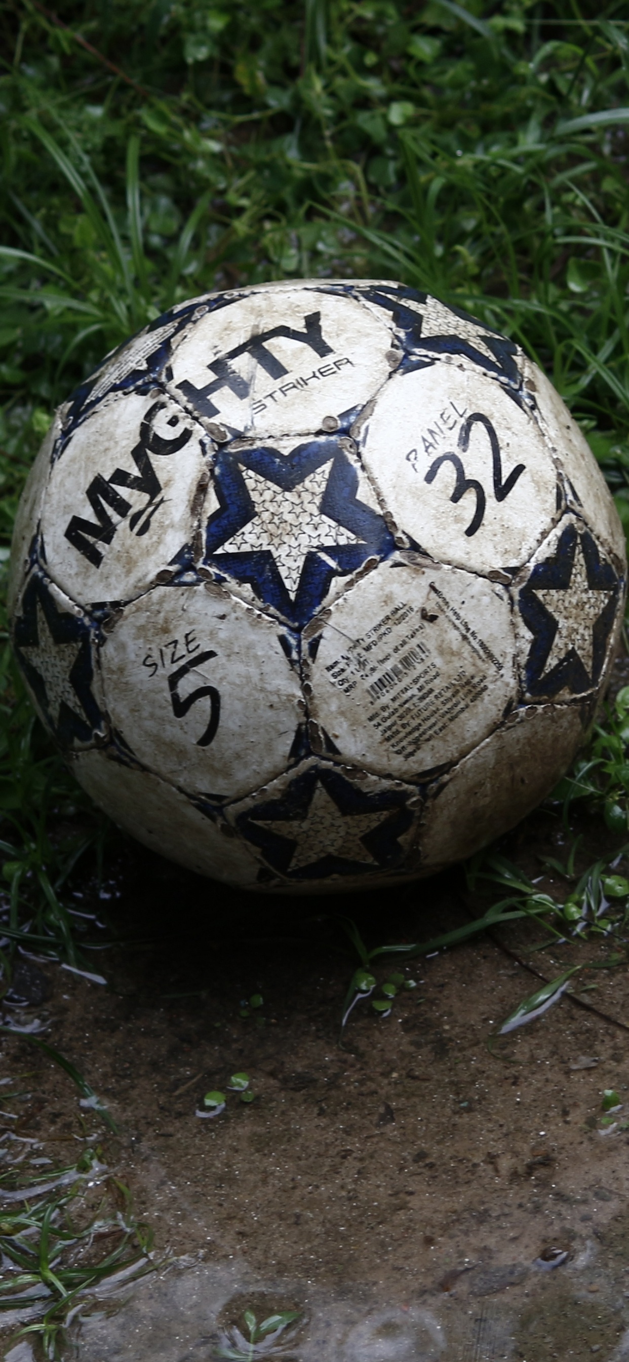 Weißer Und Schwarzer Fußball Auf Grünem Gras. Wallpaper in 1242x2688 Resolution