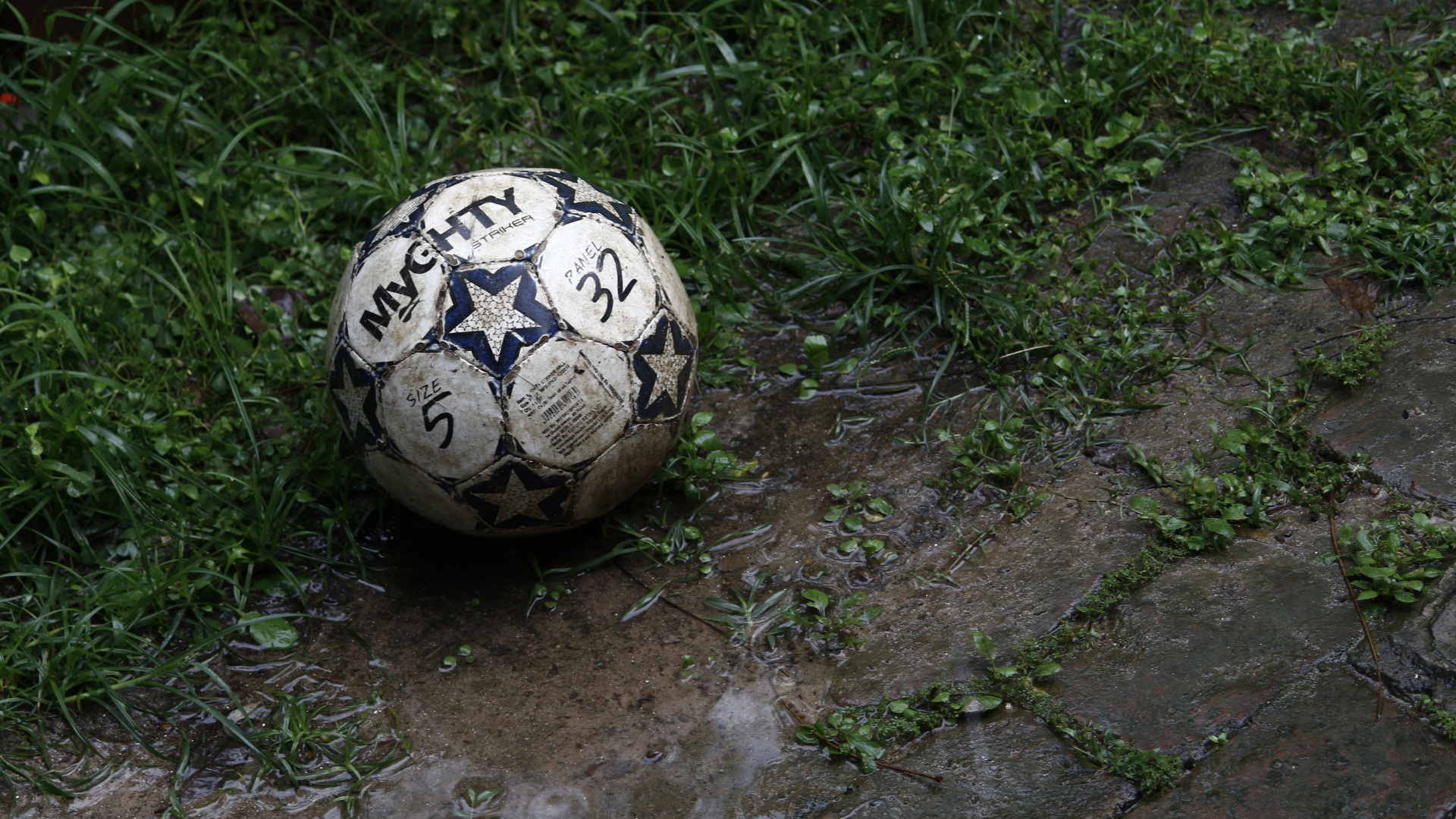 Weißer Und Schwarzer Fußball Auf Grünem Gras. Wallpaper in 1920x1080 Resolution