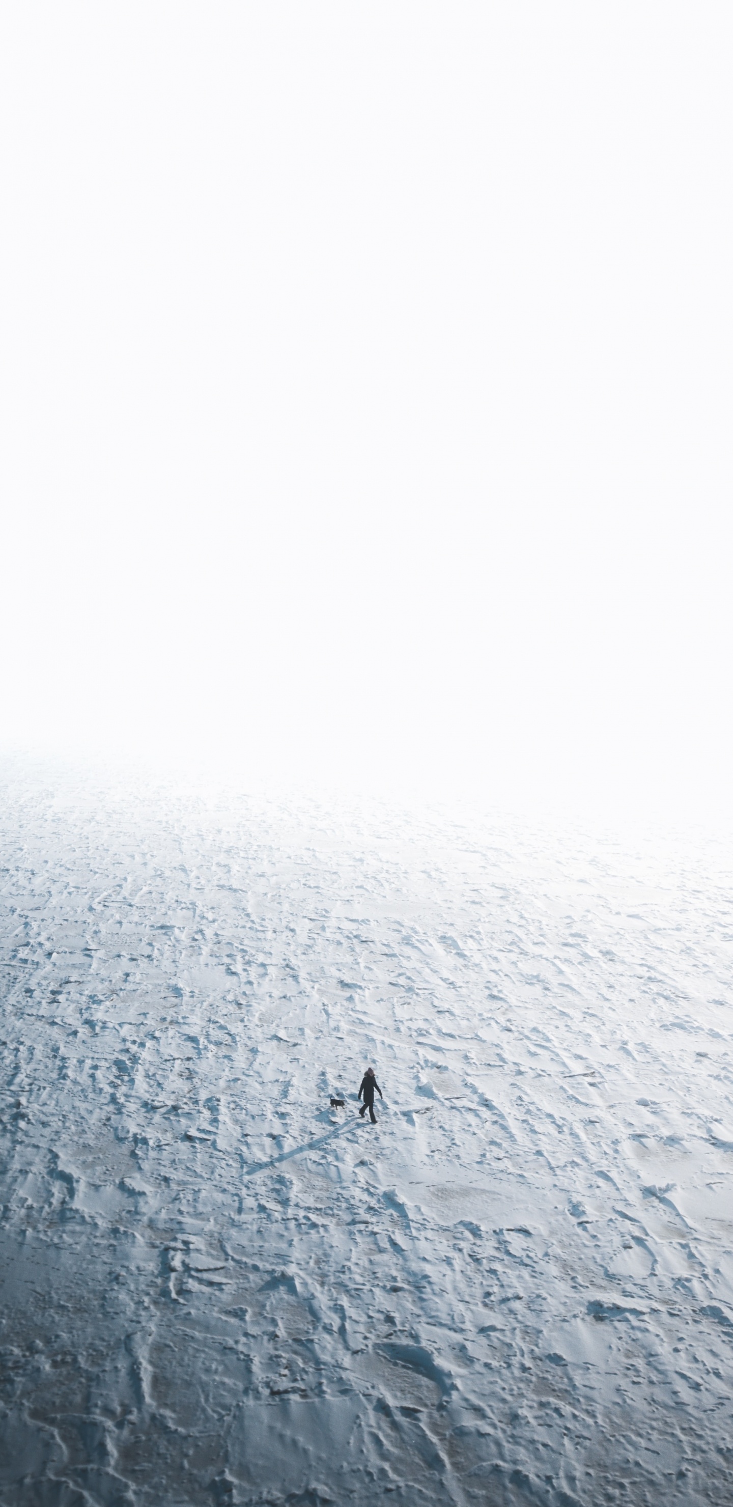 Agua, Ambiente, Mar, Calma, Bruma. Wallpaper in 1440x2960 Resolution