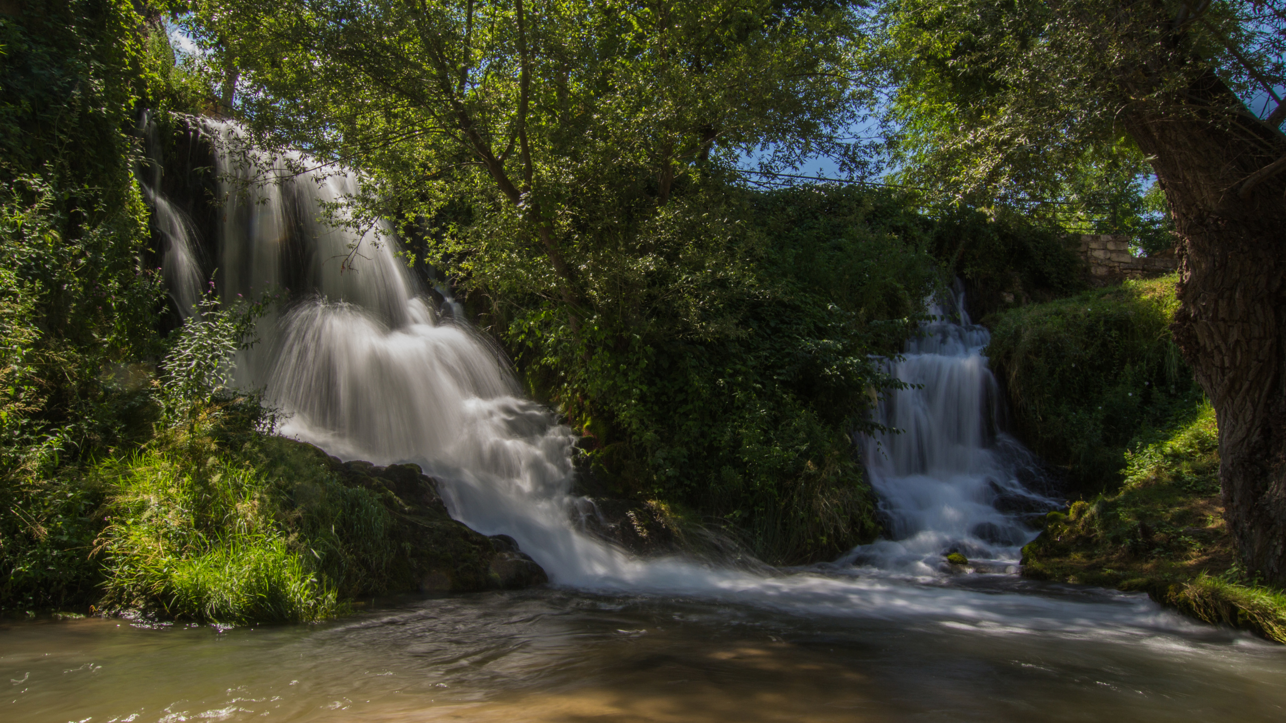 L'eau Tombe au Milieu Des Arbres Verts. Wallpaper in 2560x1440 Resolution