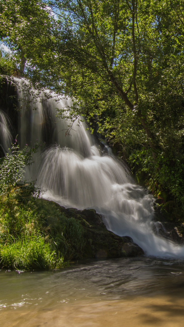 L'eau Tombe au Milieu Des Arbres Verts. Wallpaper in 750x1334 Resolution