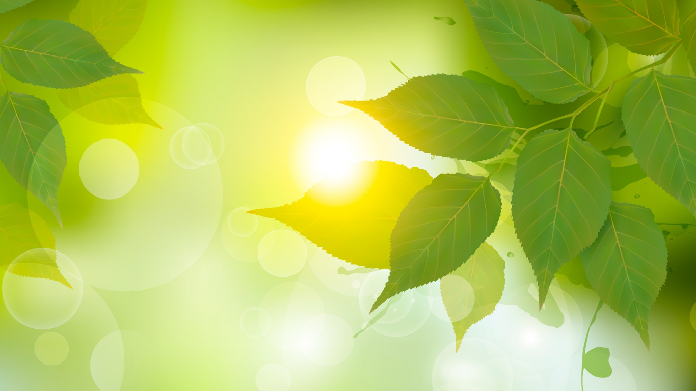 Feuille Verte Avec Des Gouttelettes D'eau. Wallpaper in 1366x768 Resolution