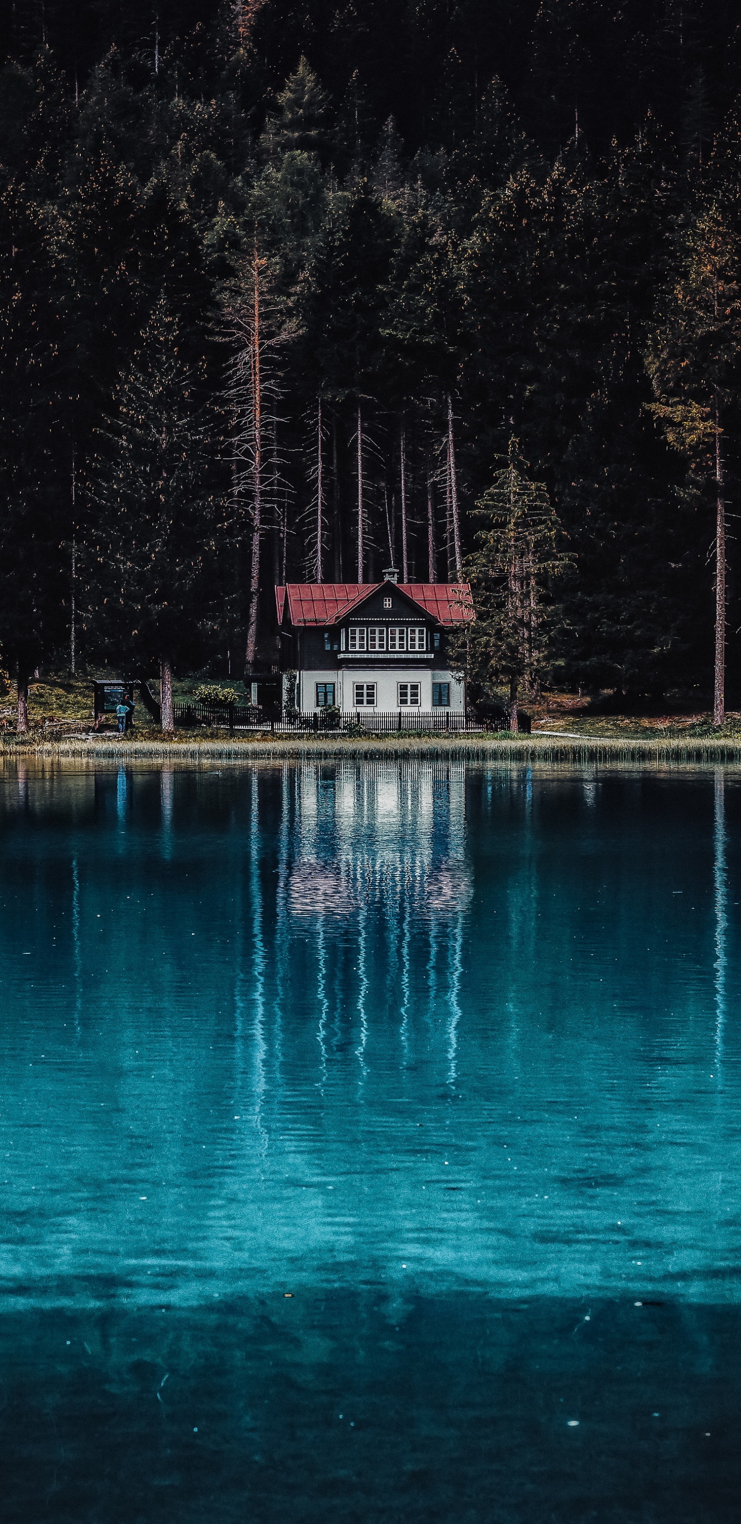 Reflection, Water, Mount Fuji, Volcano, Mountain. Wallpaper in 1440x2960 Resolution