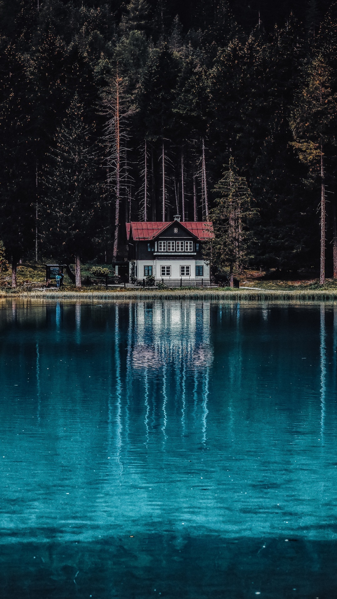 Reflexion, Wasser, Mount Fuji, Vulkan, Gebäude. Wallpaper in 1080x1920 Resolution