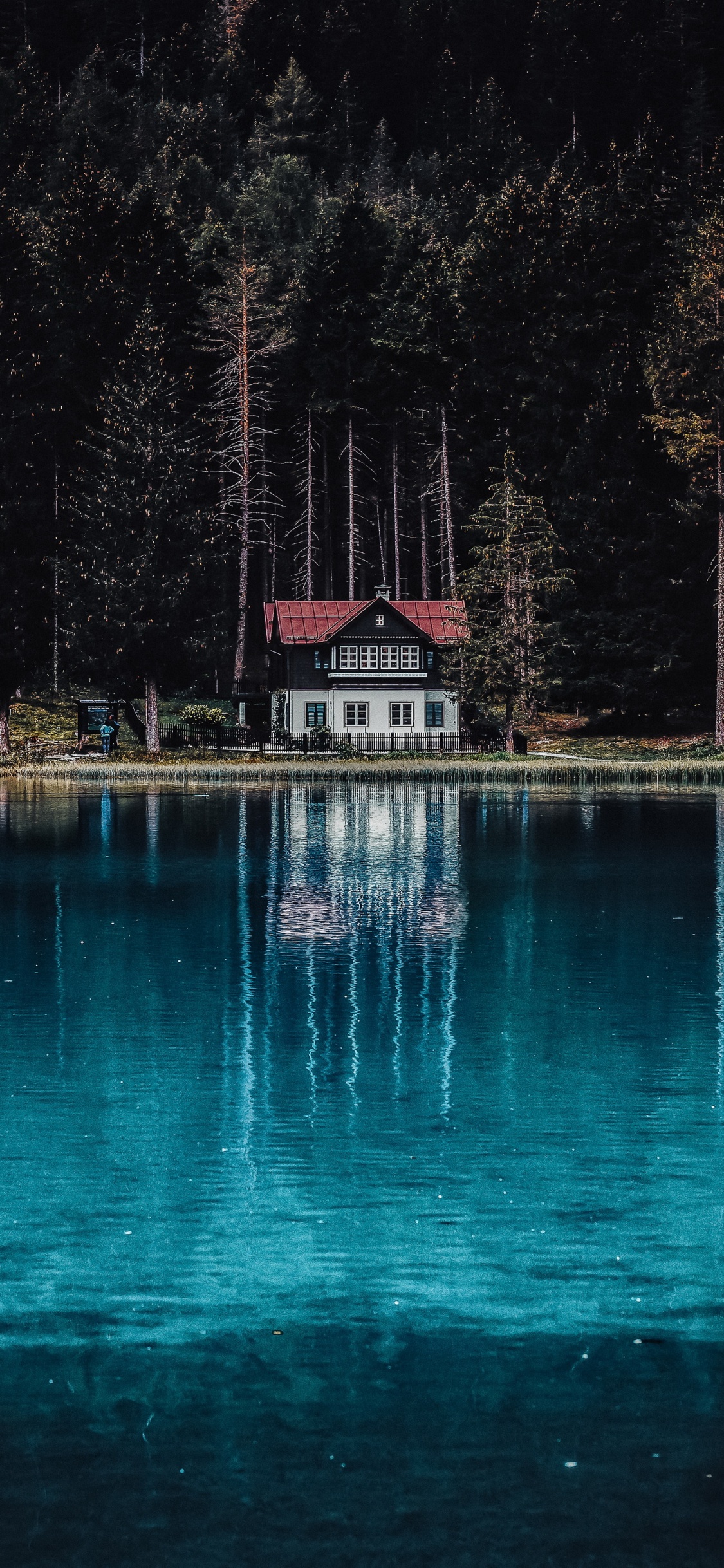 Reflexion, Wasser, Mount Fuji, Vulkan, Gebäude. Wallpaper in 1125x2436 Resolution