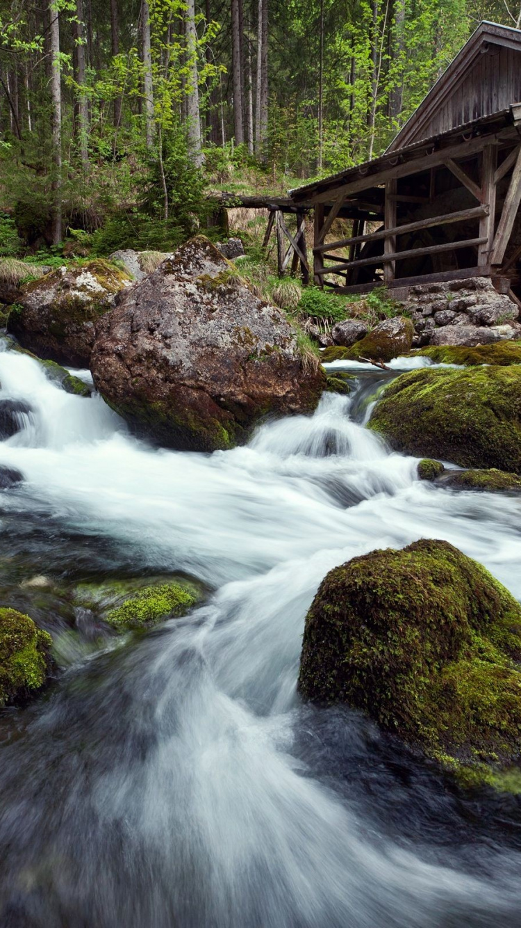 Braunes Holzhaus Auf Grünem, Moosbedecktem Felsen in Der Nähe Des Flusses. Wallpaper in 750x1334 Resolution