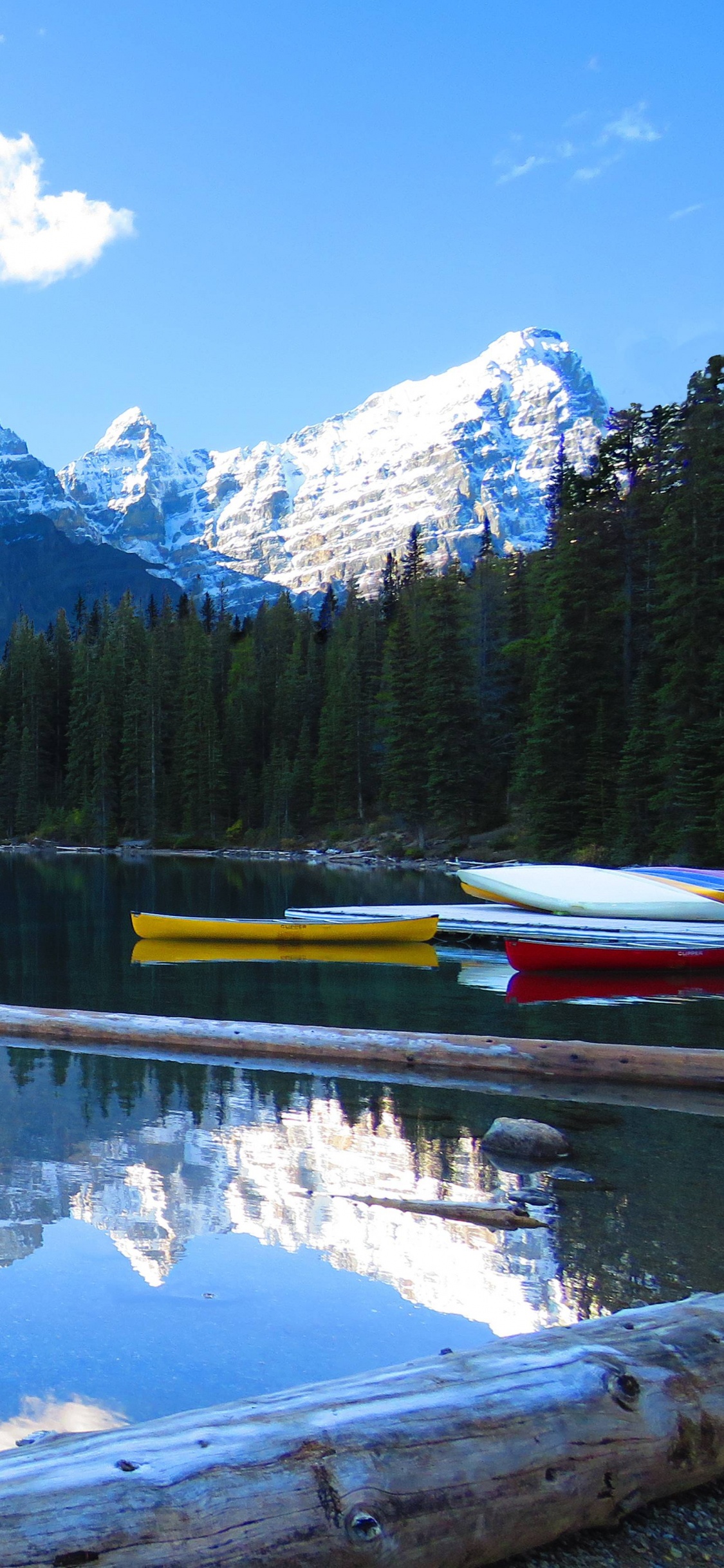 Green Trees Near Lake and Mountain Under Blue Sky During Daytime. Wallpaper in 1125x2436 Resolution