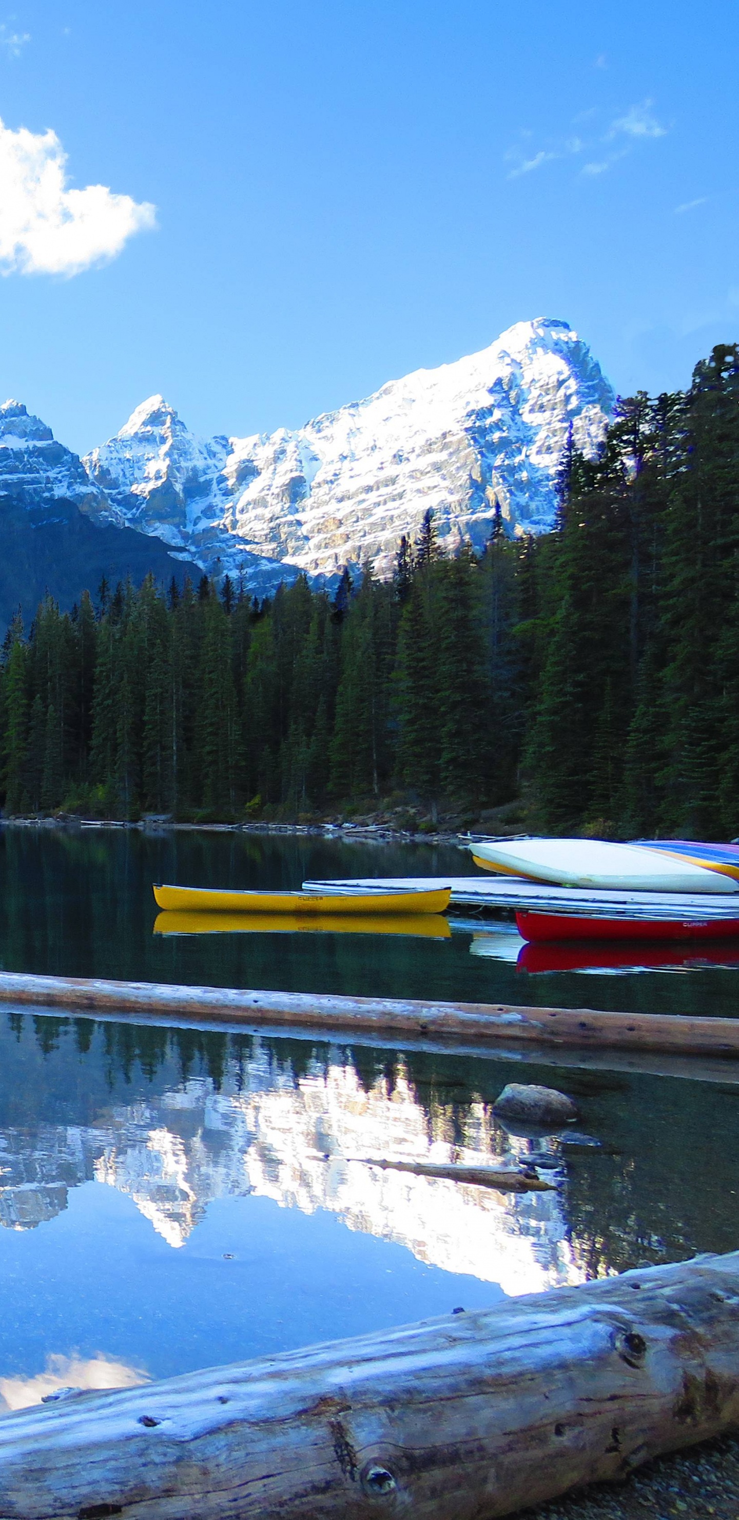 Green Trees Near Lake and Mountain Under Blue Sky During Daytime. Wallpaper in 1440x2960 Resolution