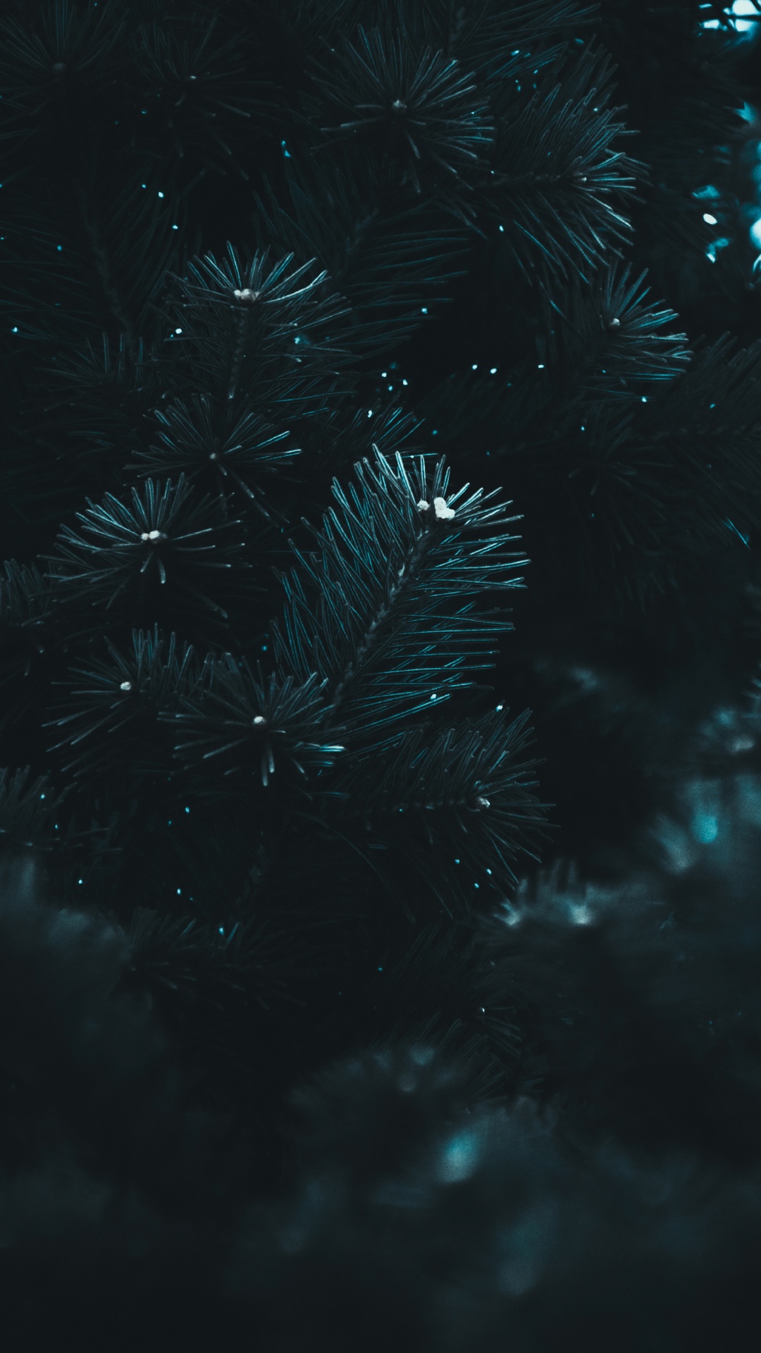 Negro, Agua, Azul, Sucursal, Medianoche. Wallpaper in 1080x1920 Resolution