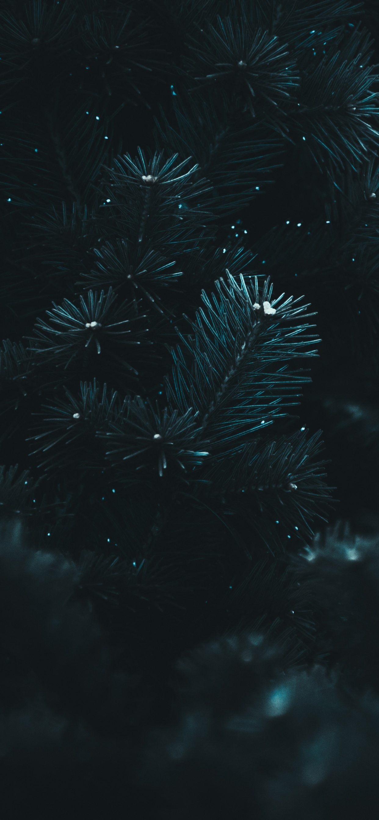 Noir, Eau, Blue, Obscurité, Nuit. Wallpaper in 1242x2688 Resolution