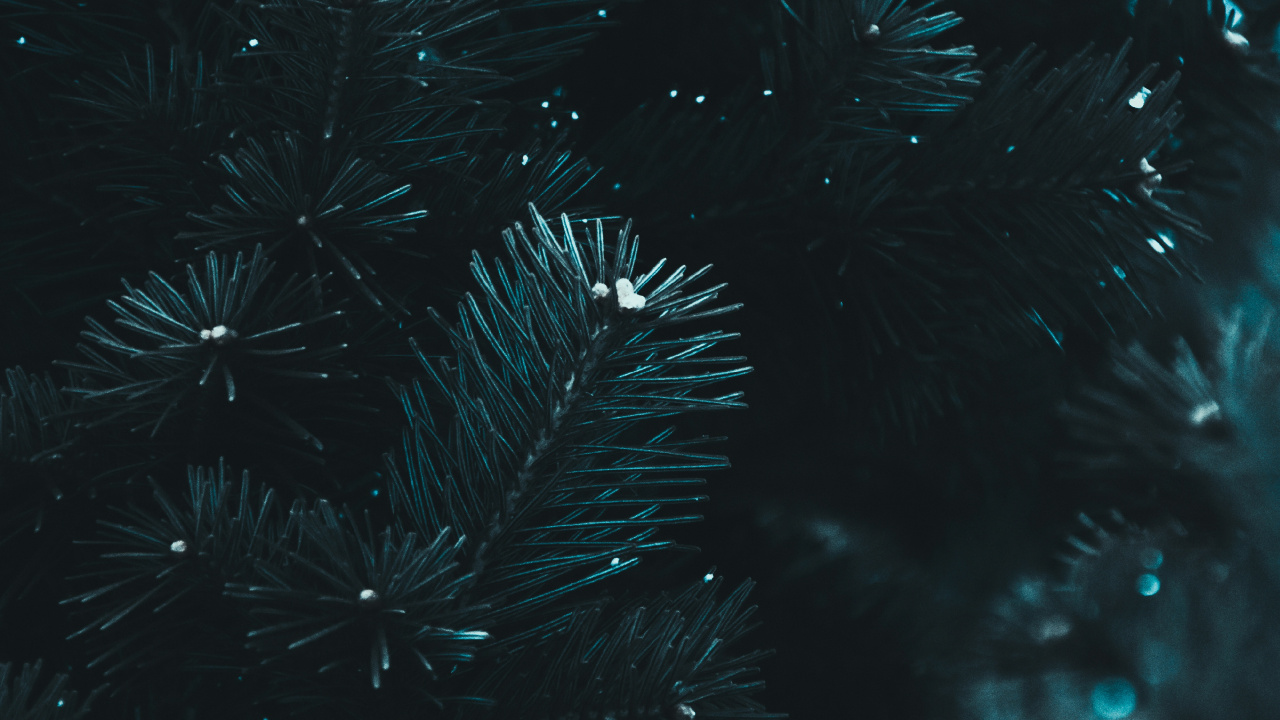 Noir, Eau, Blue, Obscurité, Nuit. Wallpaper in 1280x720 Resolution