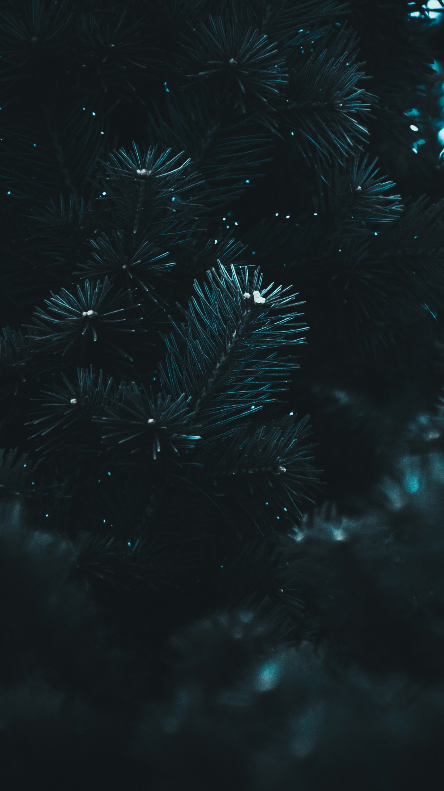 Schwarz, Wasser, Blau, Nacht, Himmel. Wallpaper in 1440x2560 Resolution