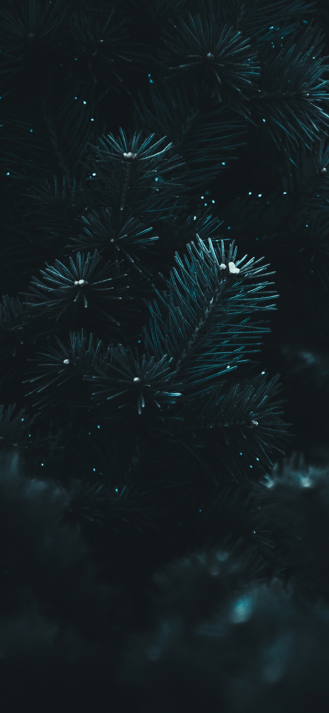 Black, Water, Blue, Darkness, Night. Wallpaper in 1125x2436 Resolution