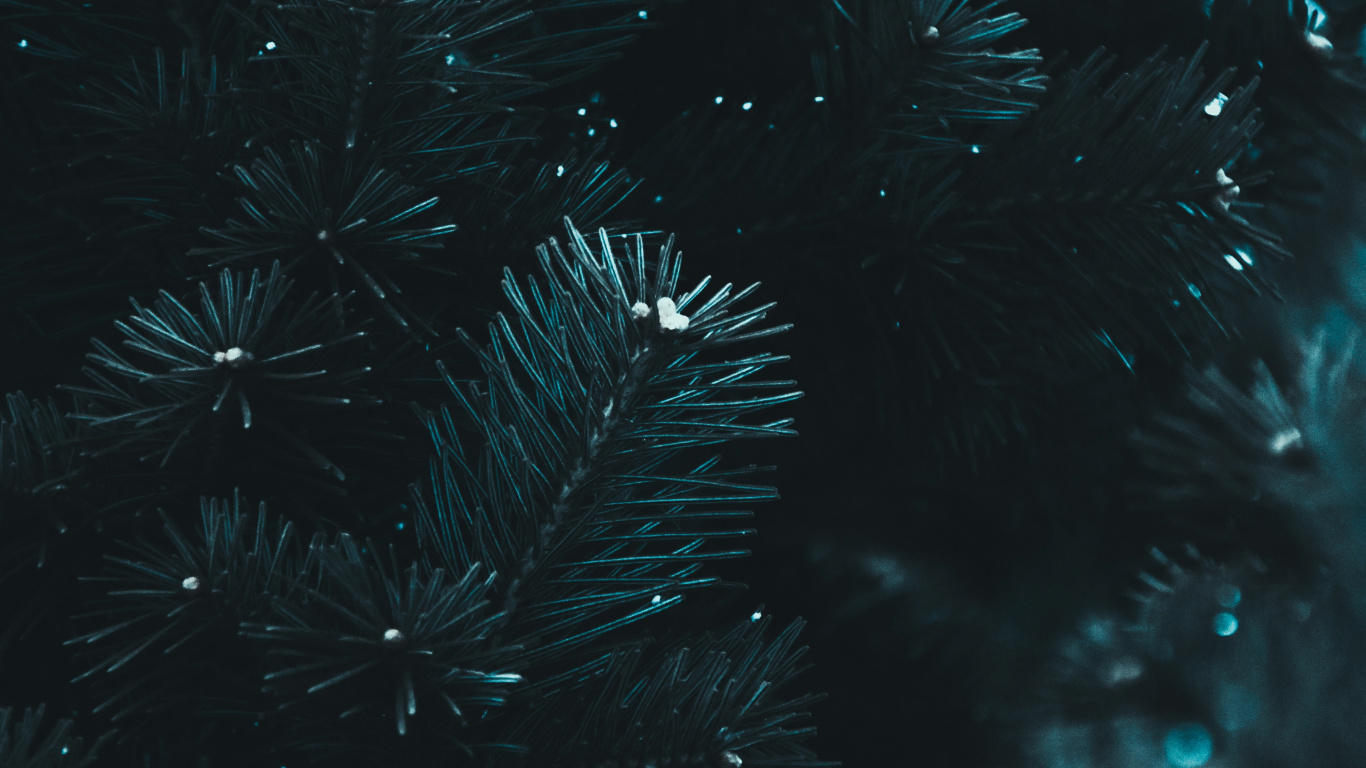 Black, Water, Blue, Darkness, Night. Wallpaper in 1366x768 Resolution