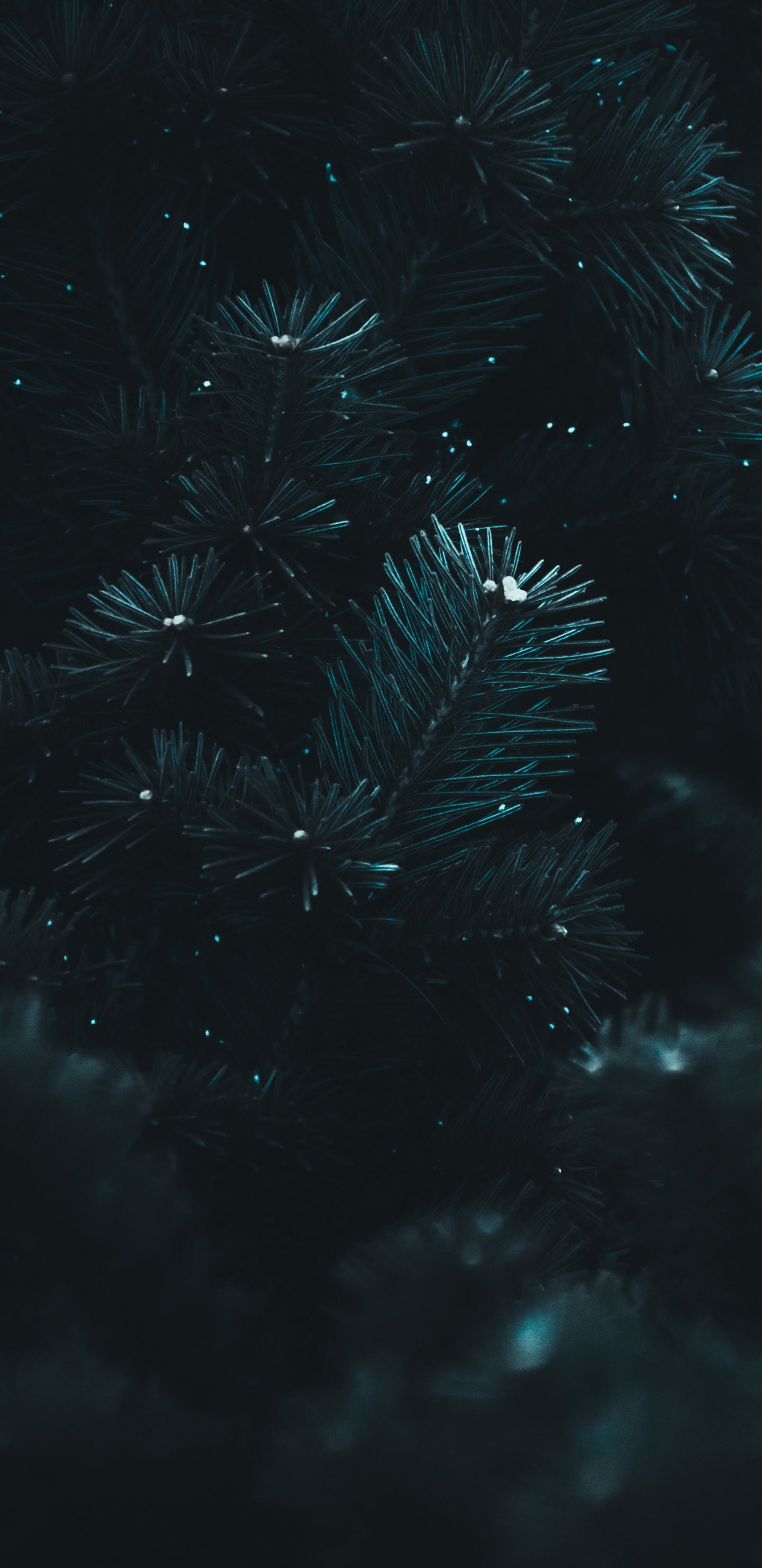 Black, Water, Blue, Darkness, Night. Wallpaper in 1440x2960 Resolution