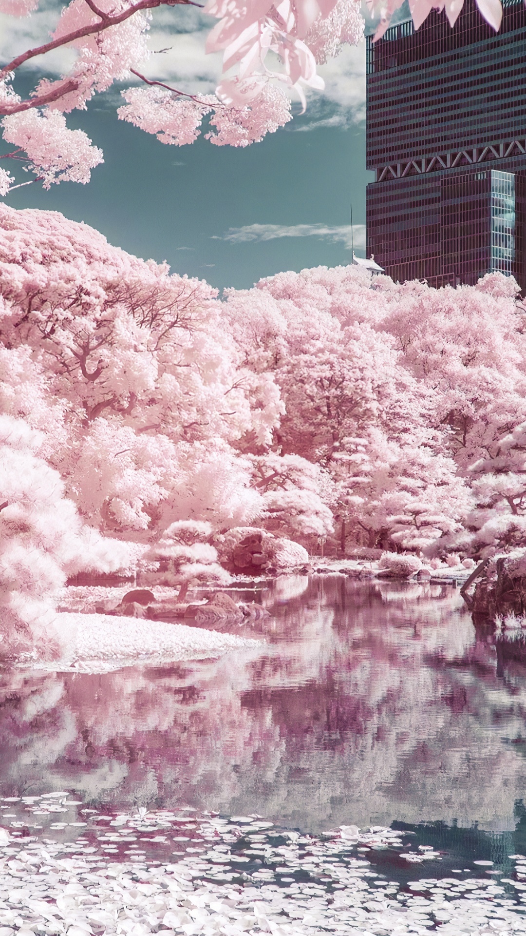 Baum, Branch, Pink, Wasserlauf, Bank. Wallpaper in 1080x1920 Resolution