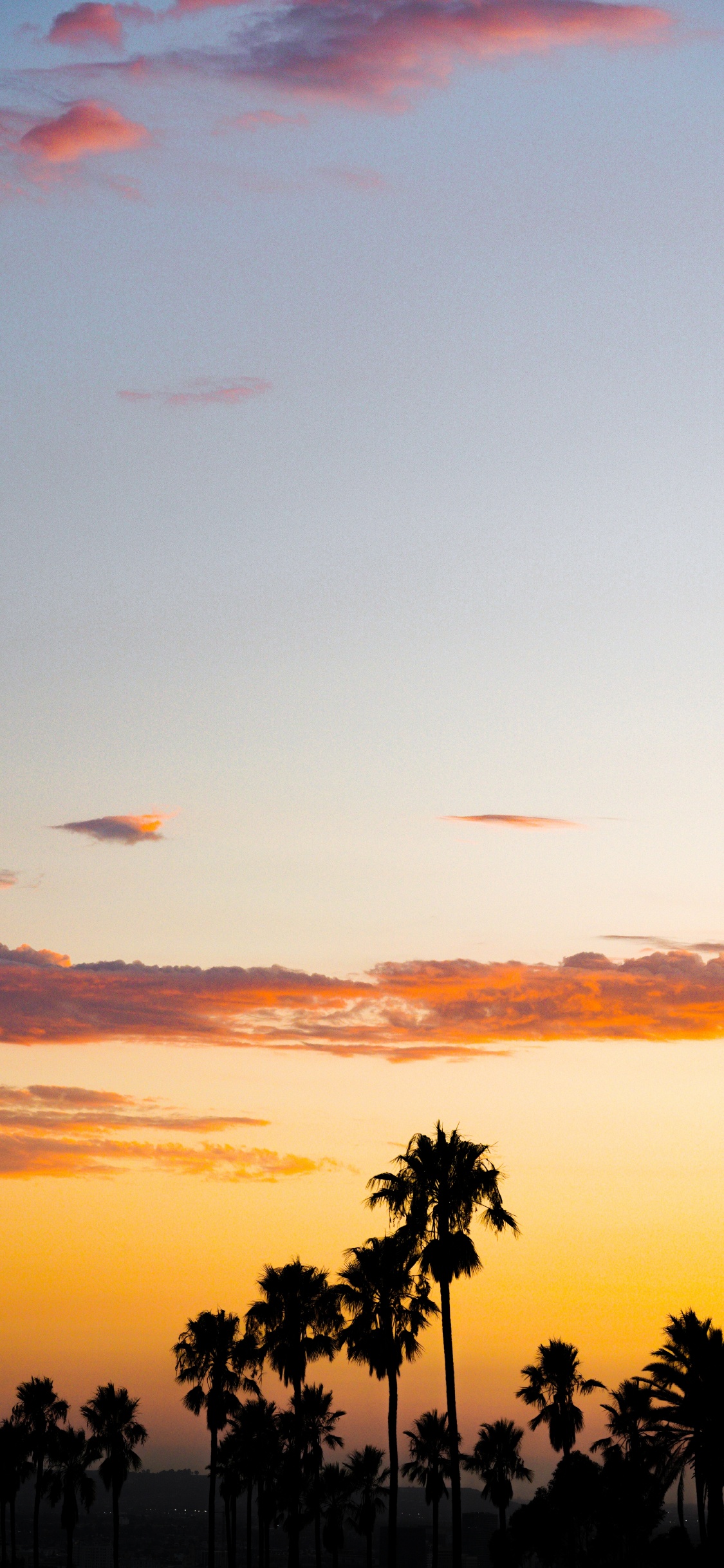 Sonnenuntergang, Afterglow, Baum, Cloud, Sonnenaufgang. Wallpaper in 1125x2436 Resolution