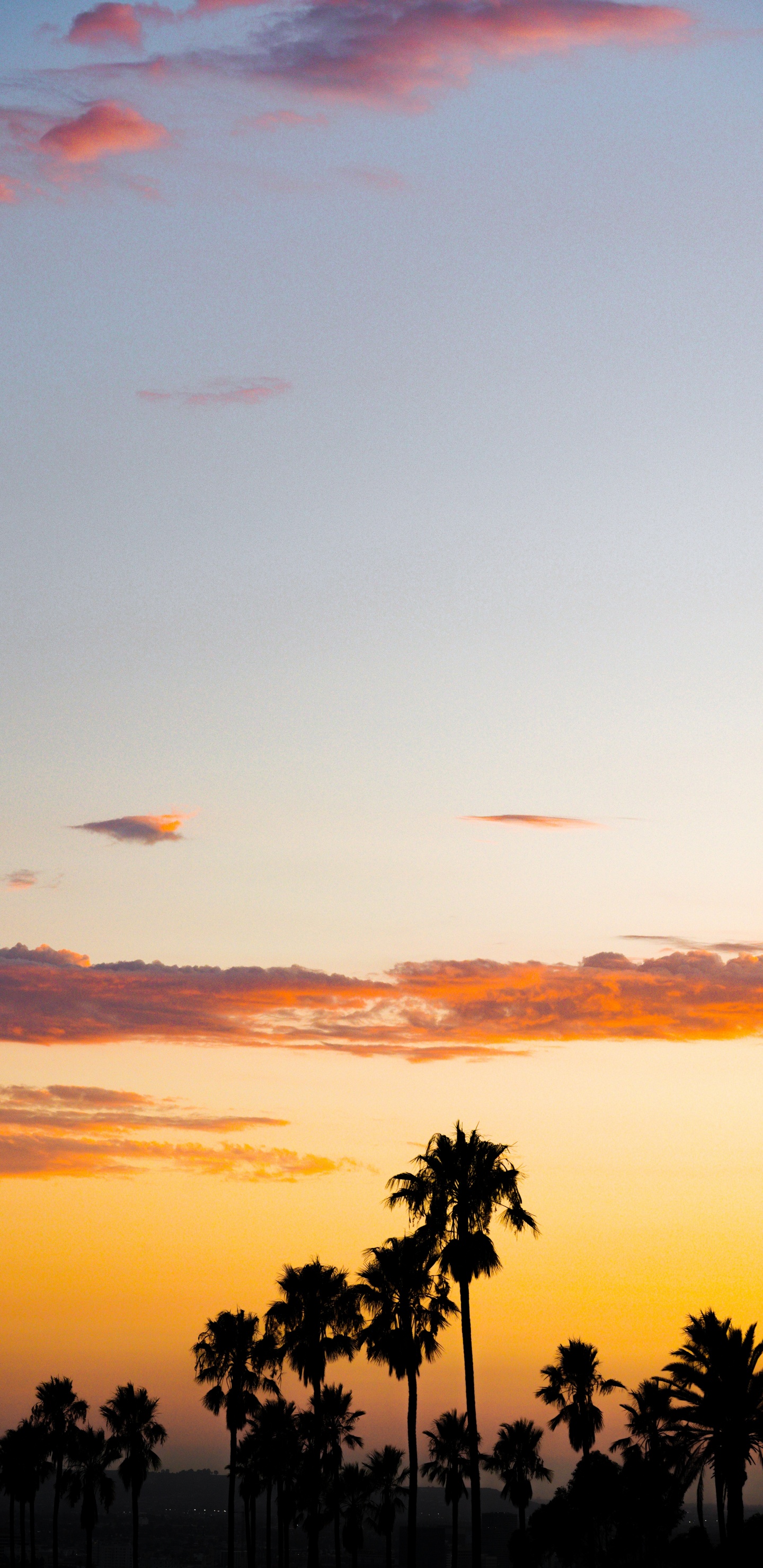 Sonnenuntergang, Afterglow, Baum, Cloud, Sonnenaufgang. Wallpaper in 1440x2960 Resolution