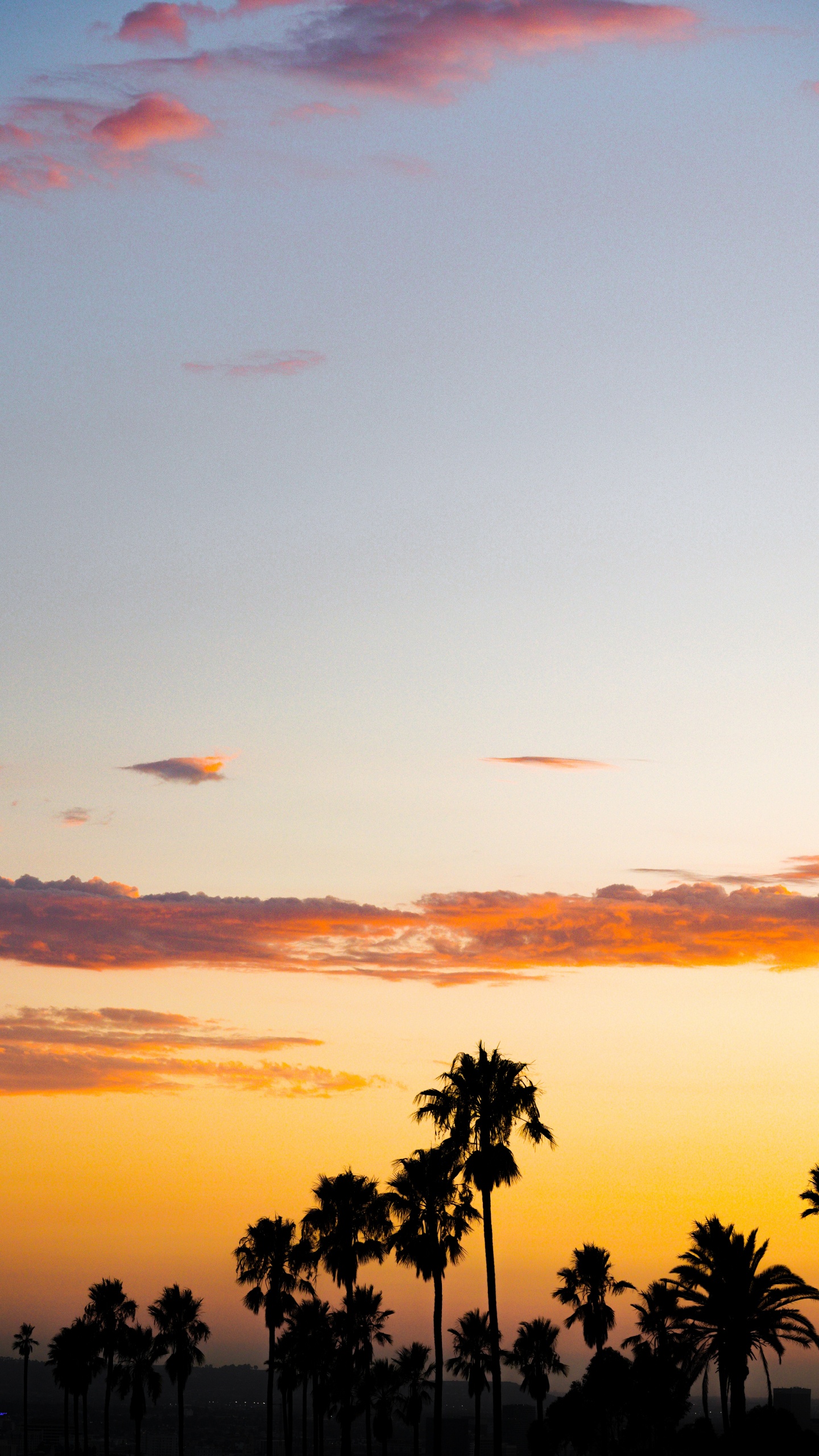 Sunset, Afterglow, Tree, Cloud, Palm Tree. Wallpaper in 1440x2560 Resolution