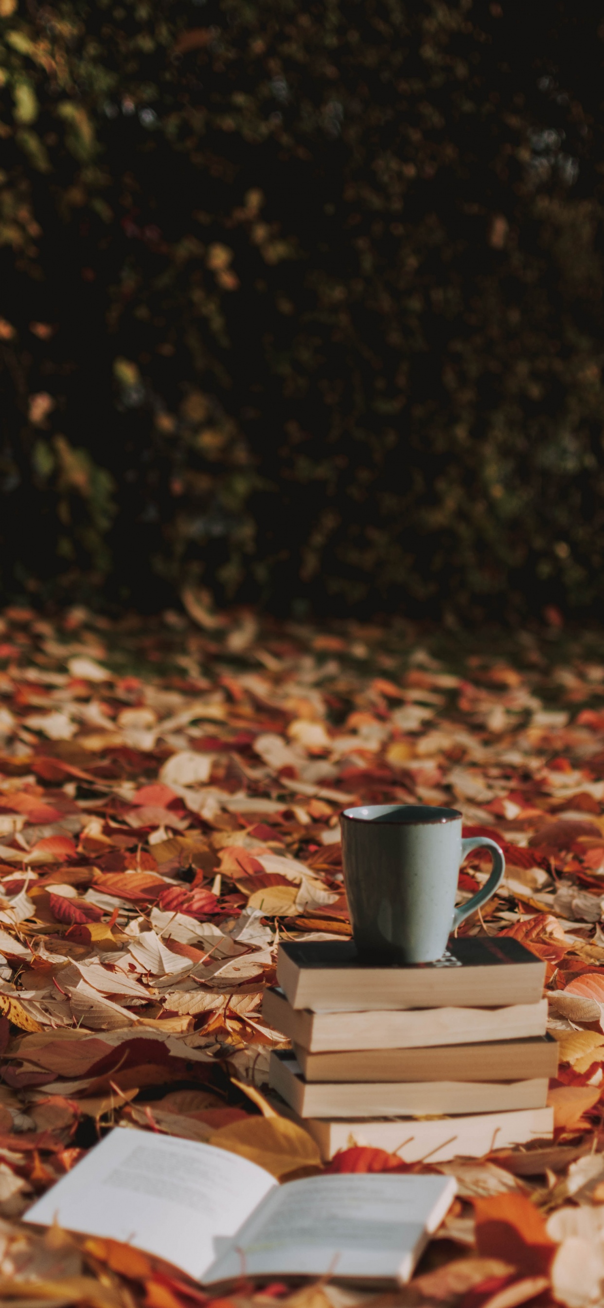 Mug en Céramique Grise Sur Feuilles Séchées Brunes. Wallpaper in 1242x2688 Resolution