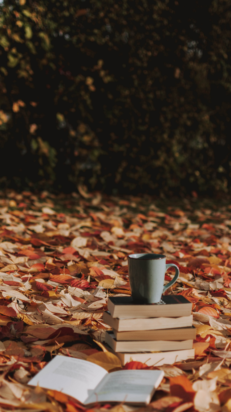 Mug en Céramique Grise Sur Feuilles Séchées Brunes. Wallpaper in 750x1334 Resolution