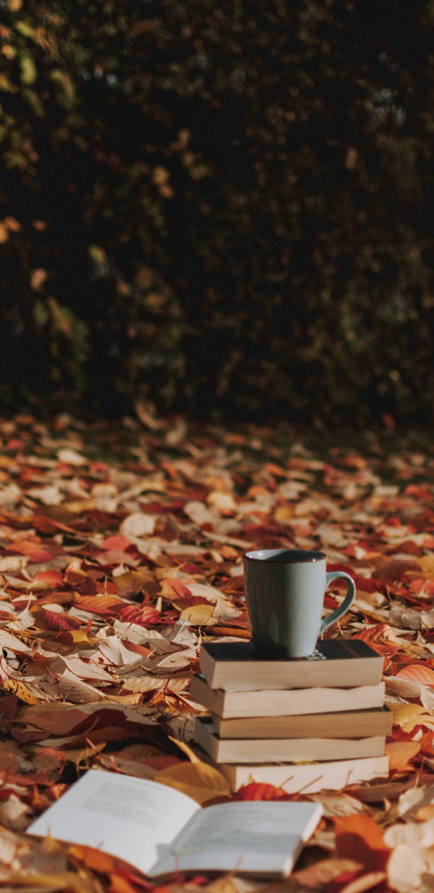 Gray Ceramic Mug on Brown Dried Leaves. Wallpaper in 1440x2960 Resolution