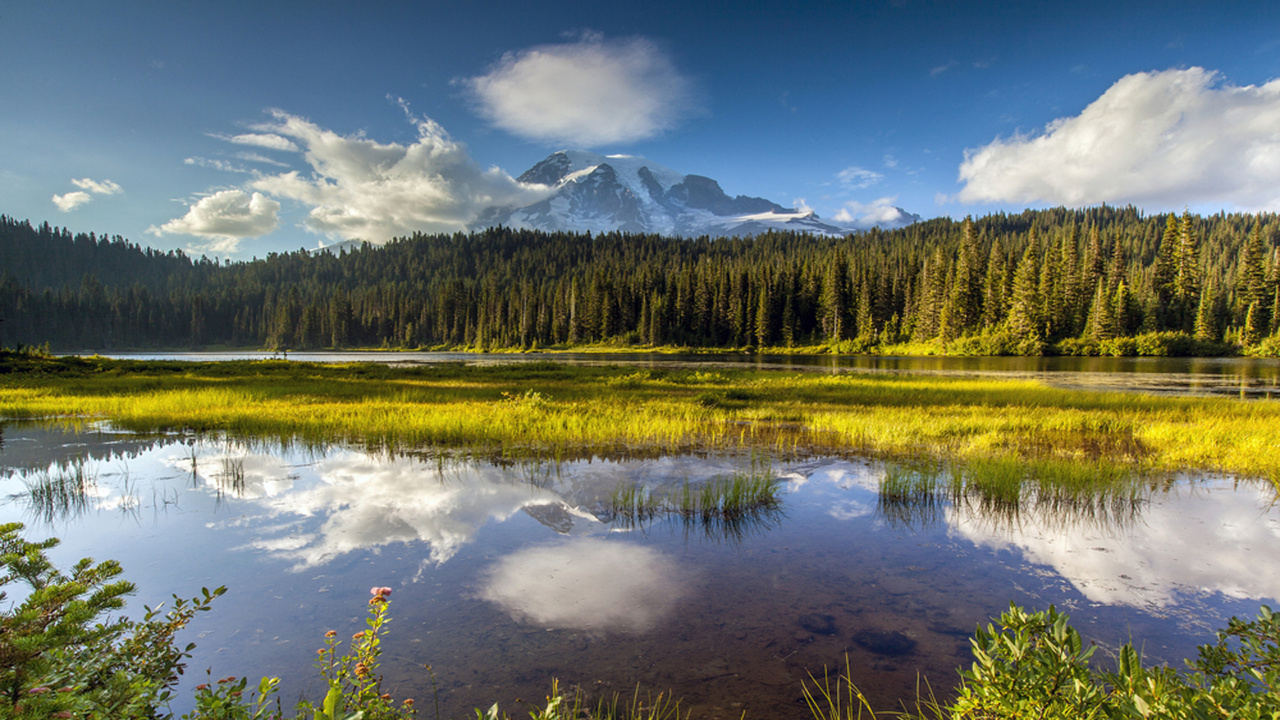 Green Trees Near Lake Under Blue Sky During Daytime. Wallpaper in 1280x720 Resolution