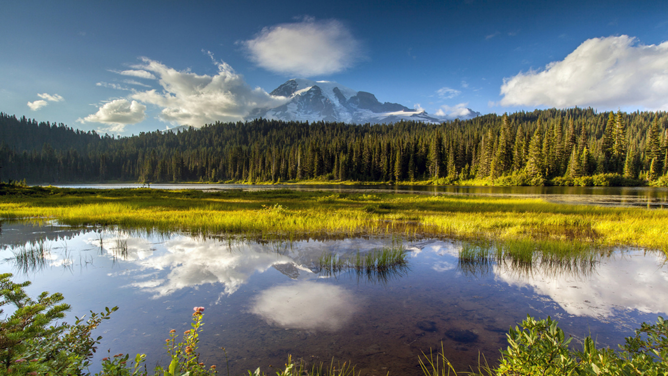 Green Trees Near Lake Under Blue Sky During Daytime. Wallpaper in 1366x768 Resolution