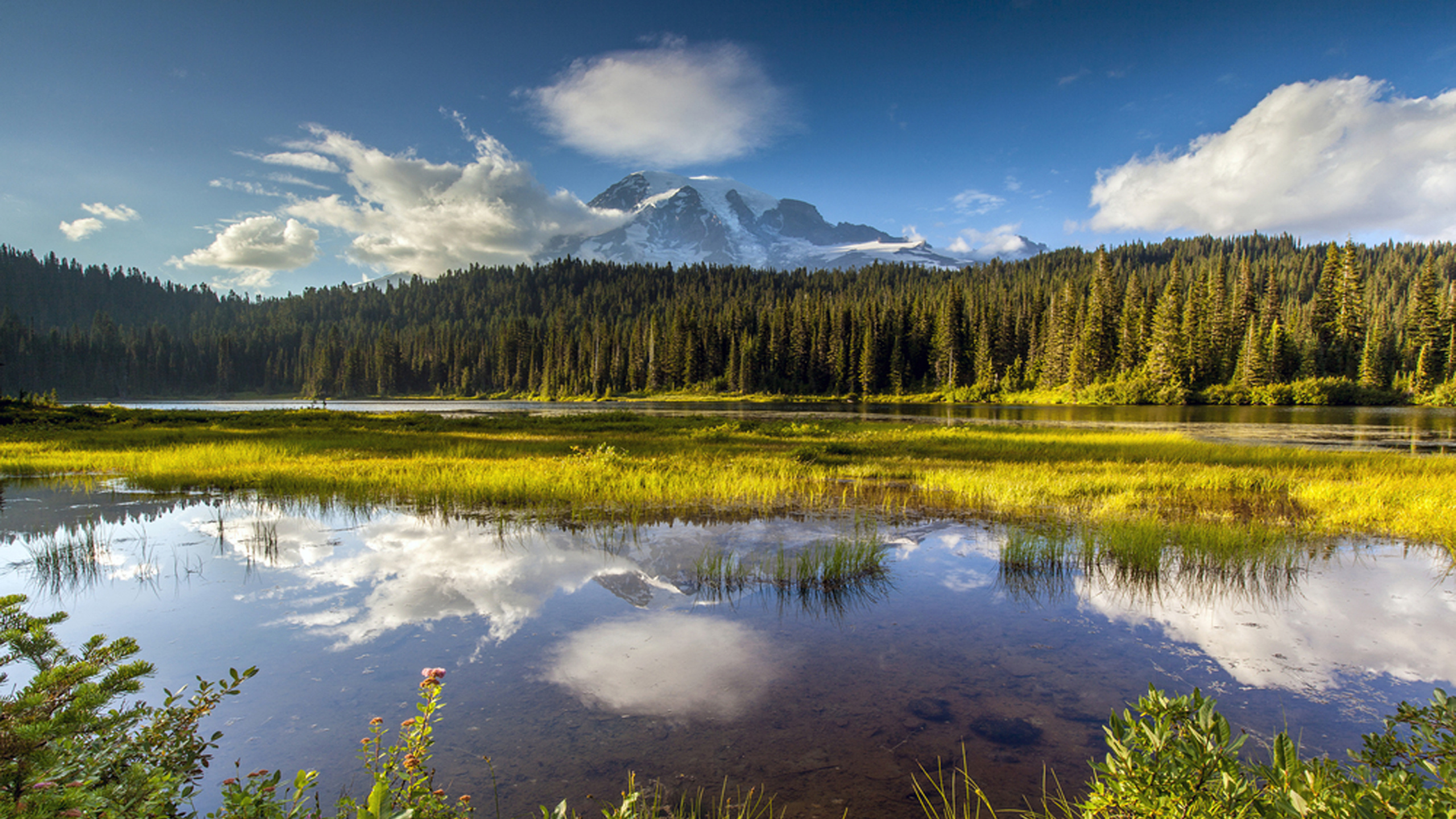 Green Trees Near Lake Under Blue Sky During Daytime. Wallpaper in 2560x1440 Resolution