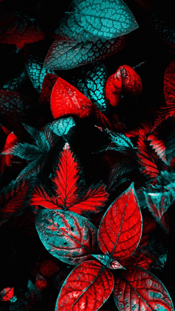 Ciencia, Biología, Rojo, Arte, Patrón. Wallpaper in 720x1280 Resolution