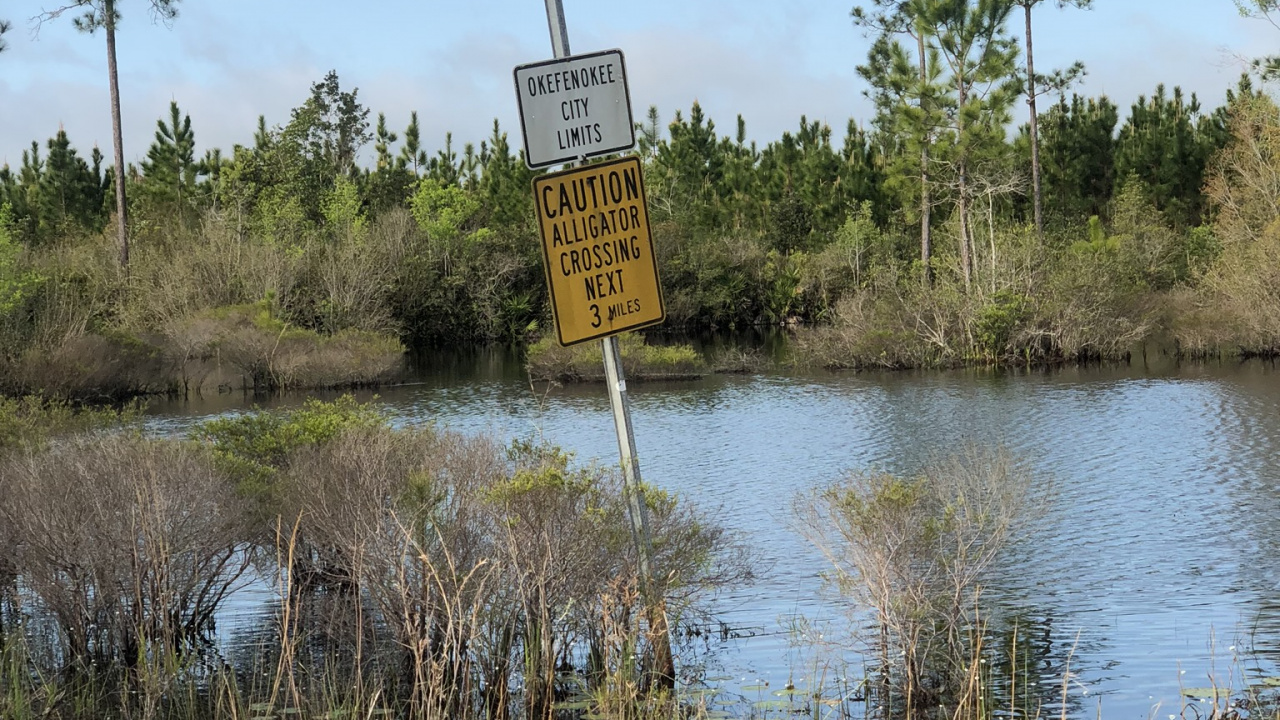 la Reserva Natural De, la Vegetación, Entorno Natural, Paisaje Natural, la Comunidad Vegetal. Wallpaper in 1280x720 Resolution